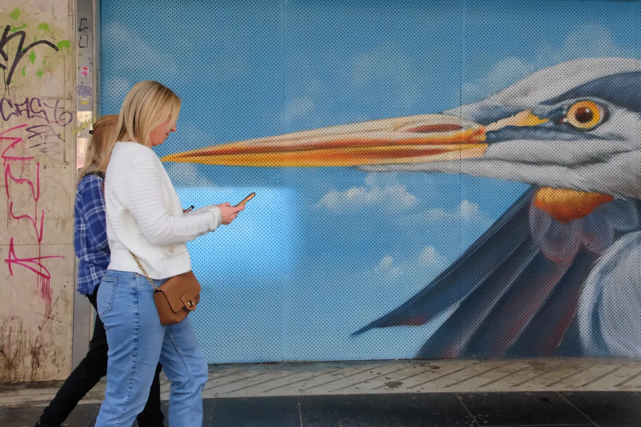 Entry 24181157