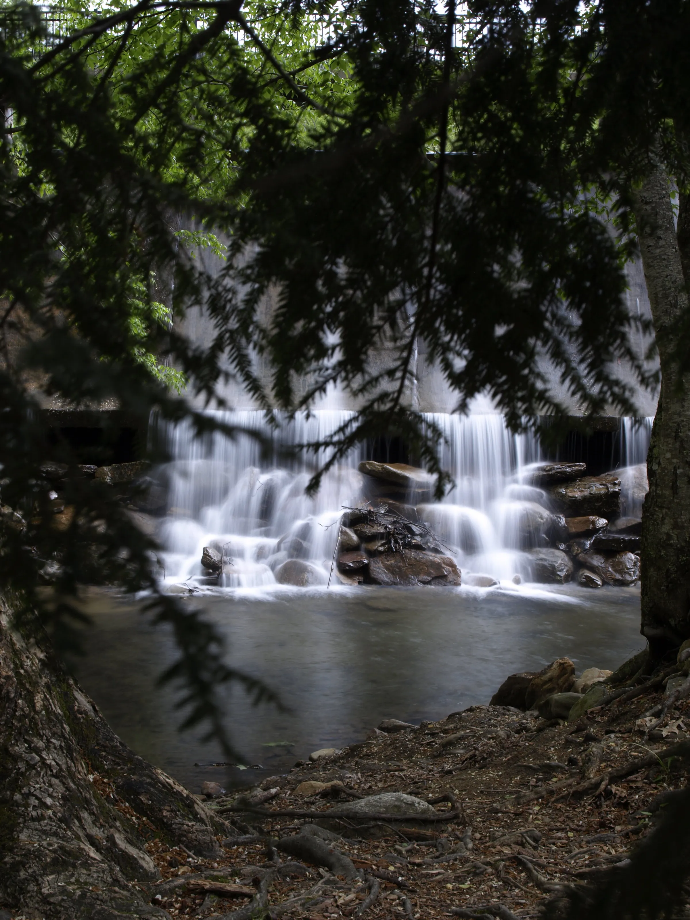 Cooling behind the trees