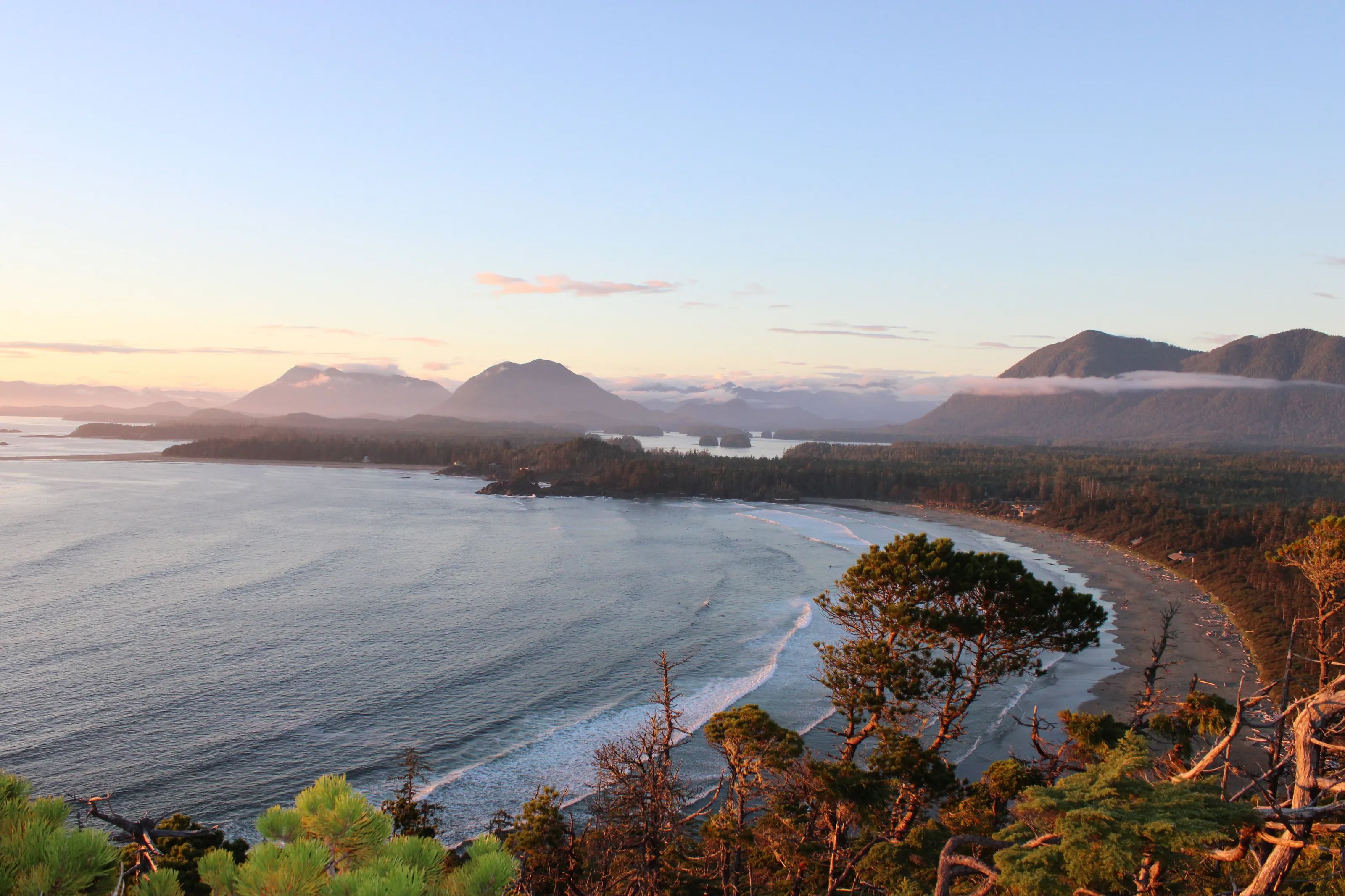Where the wild Meets the Pacific