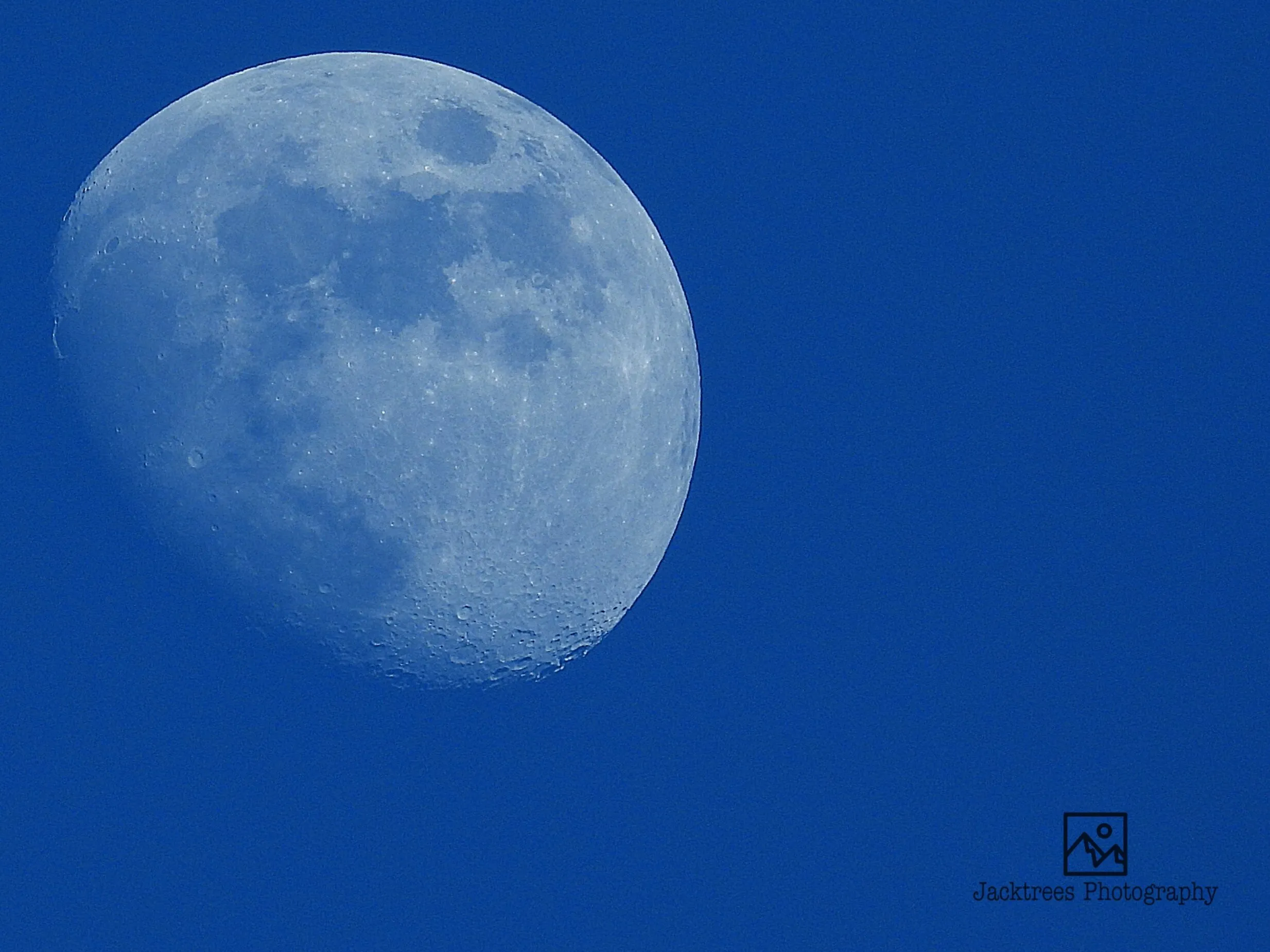 The close up detailed moon  showing it's face as the sun begins to set over the countryside.