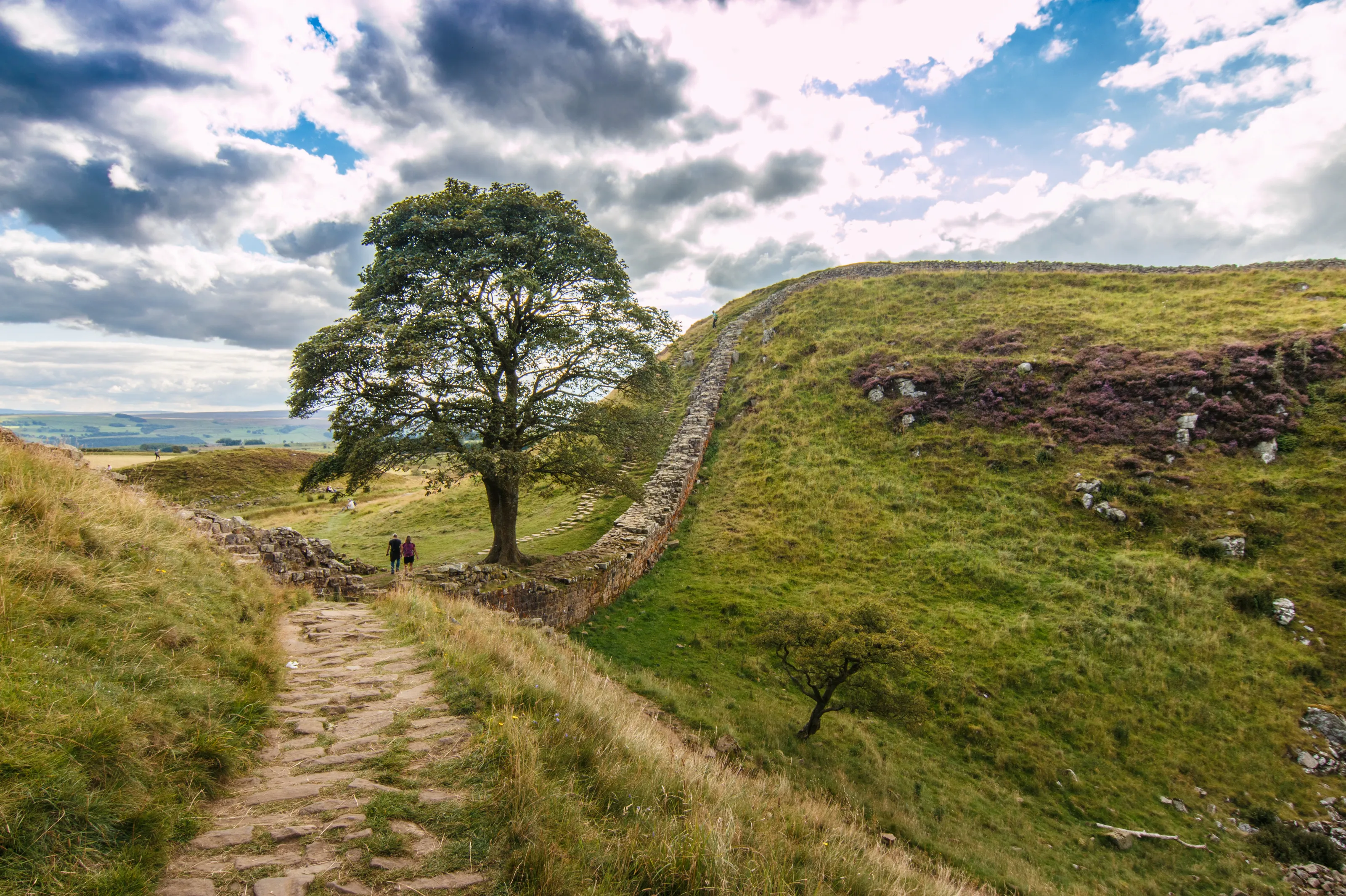 Sycamore gap