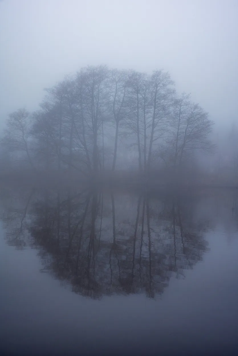 Entry 25007877