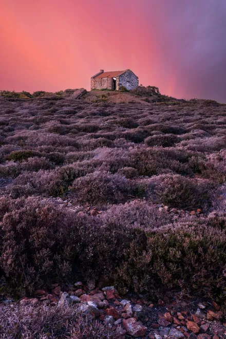The house on the hill amongst the heather at sunset composite