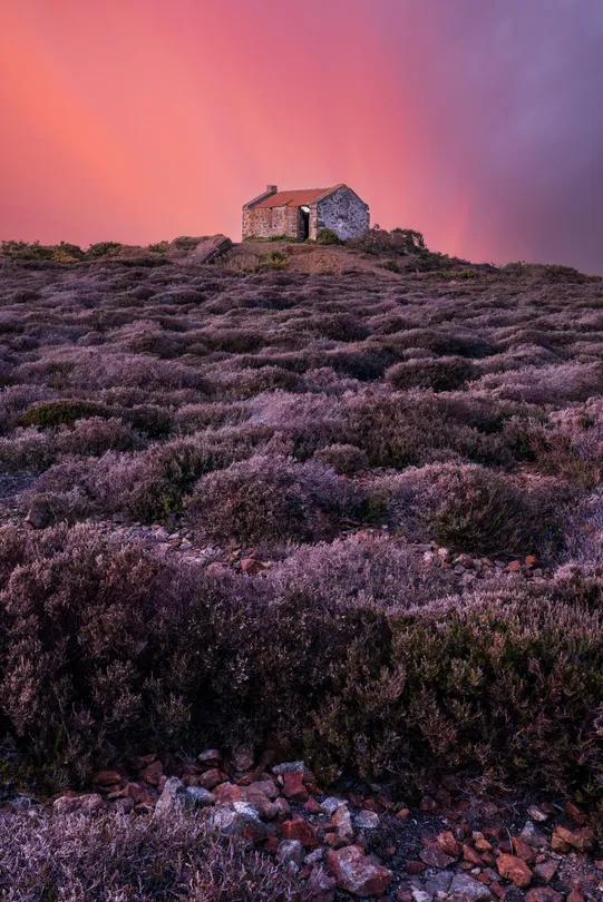 The house on the hill amongst the heather at sunset composite