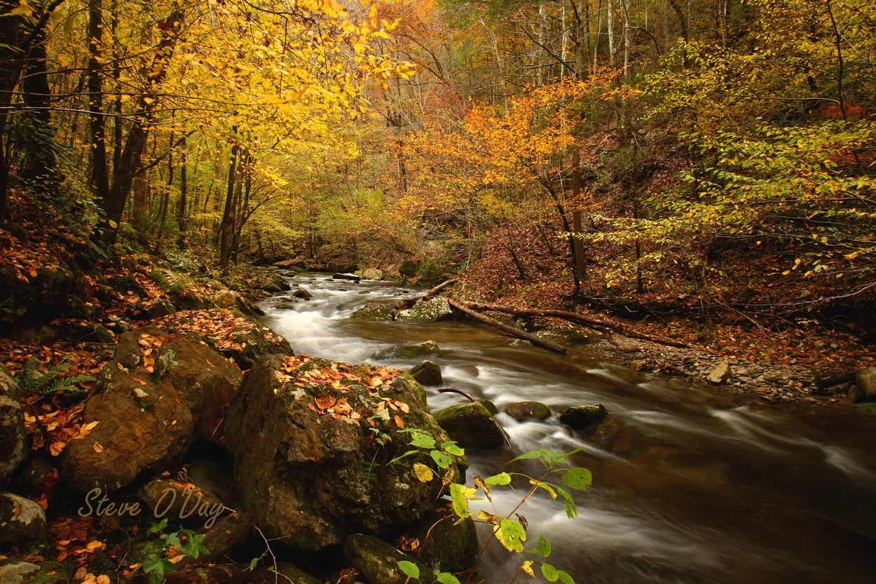Entry 24643469