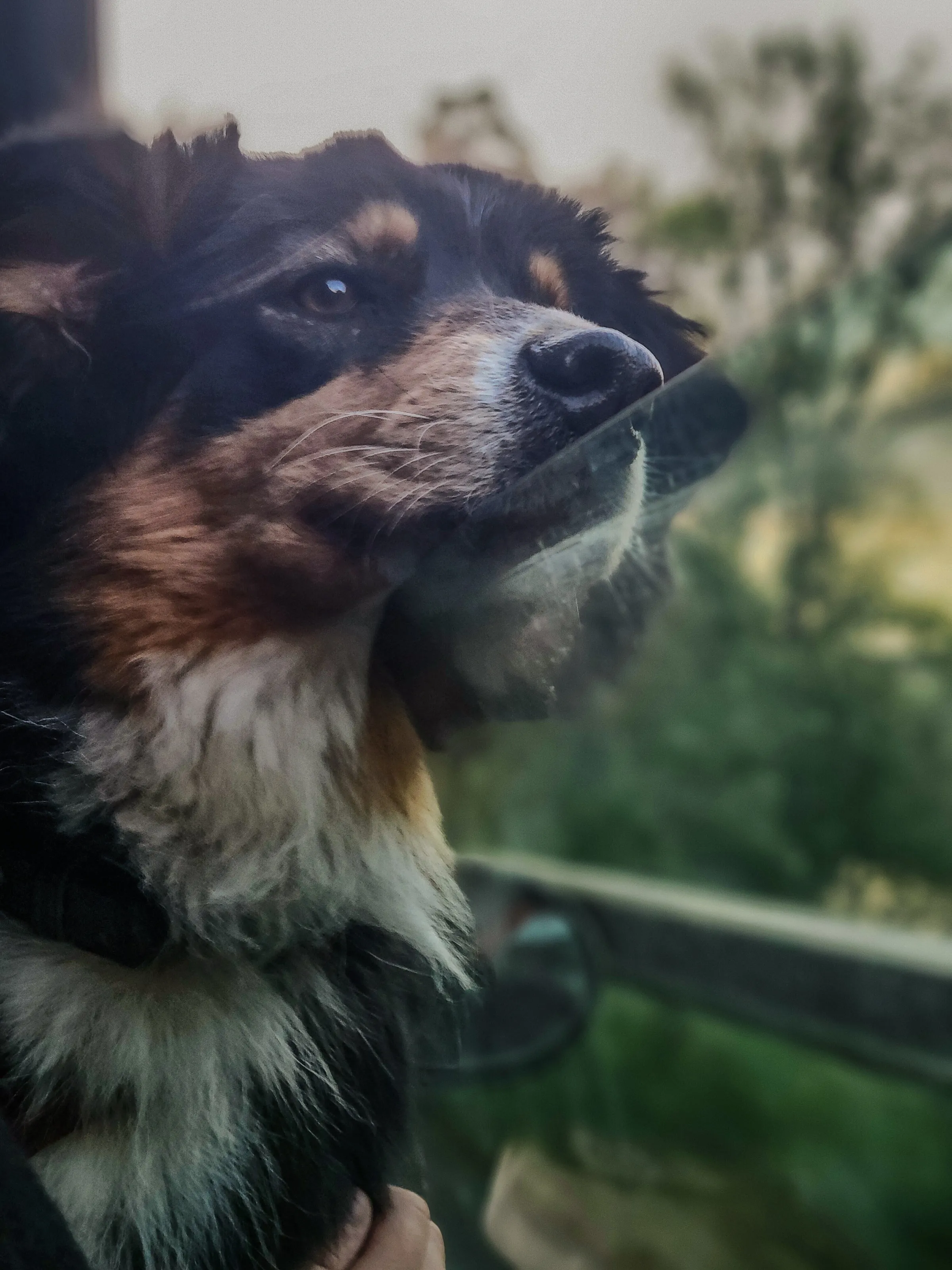 Enjoying the ride