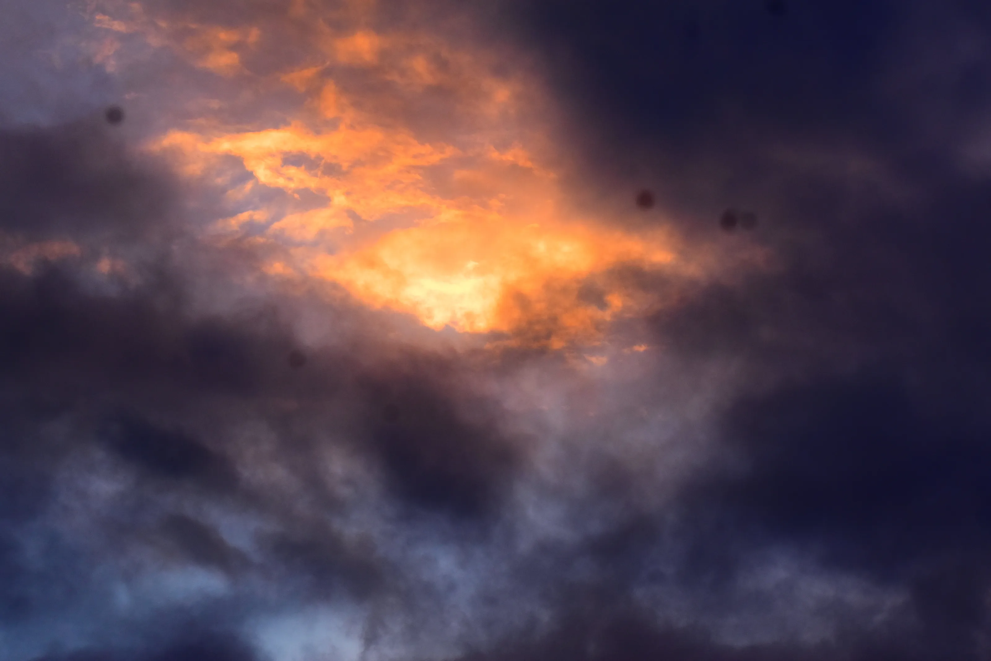Banner image