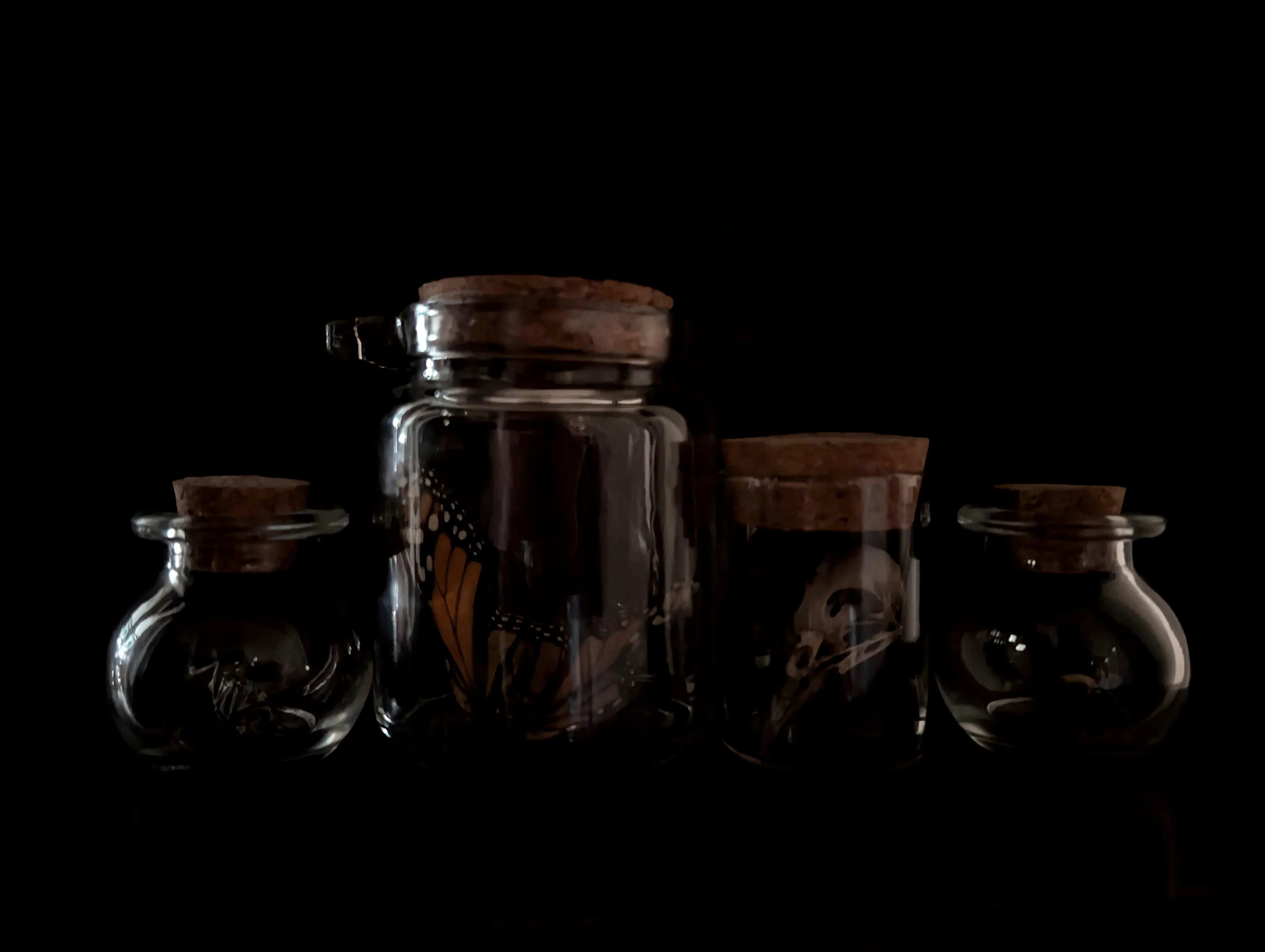 Memento Mori: The Curator's Collection