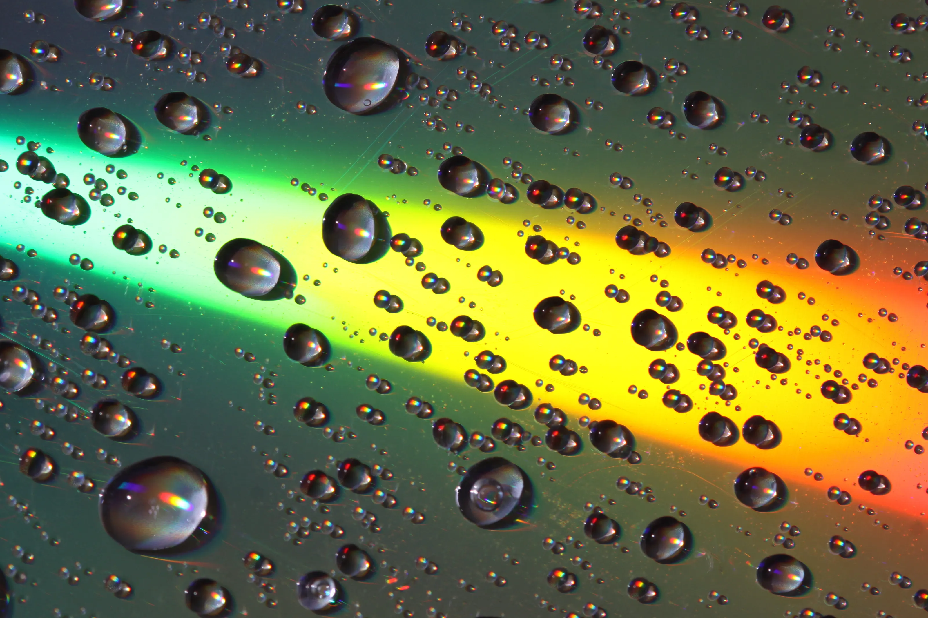 CD Splash