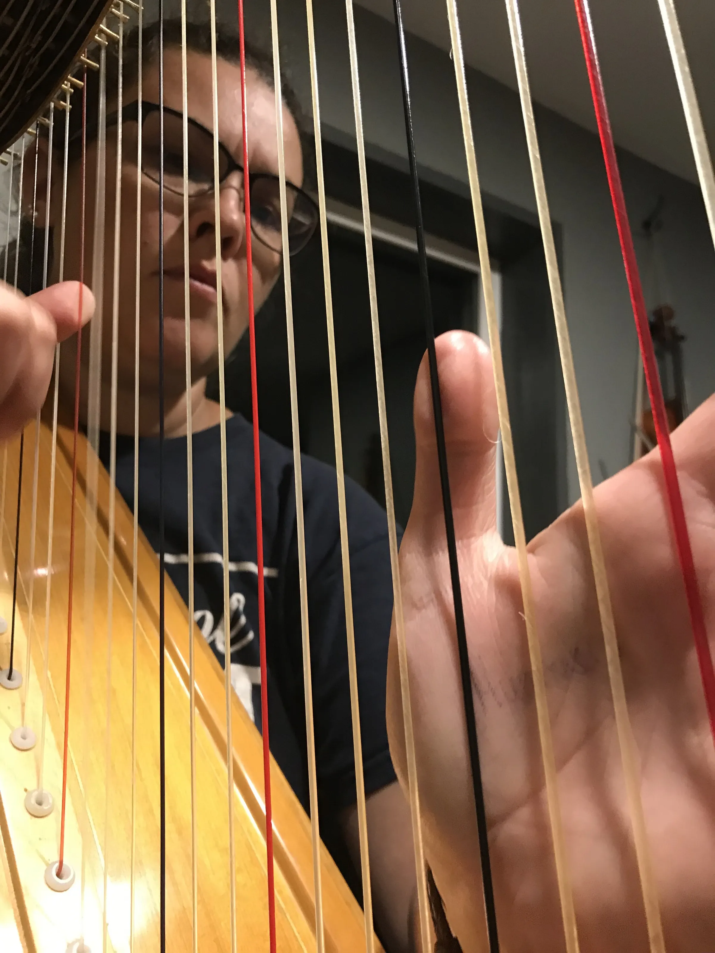 Harp
