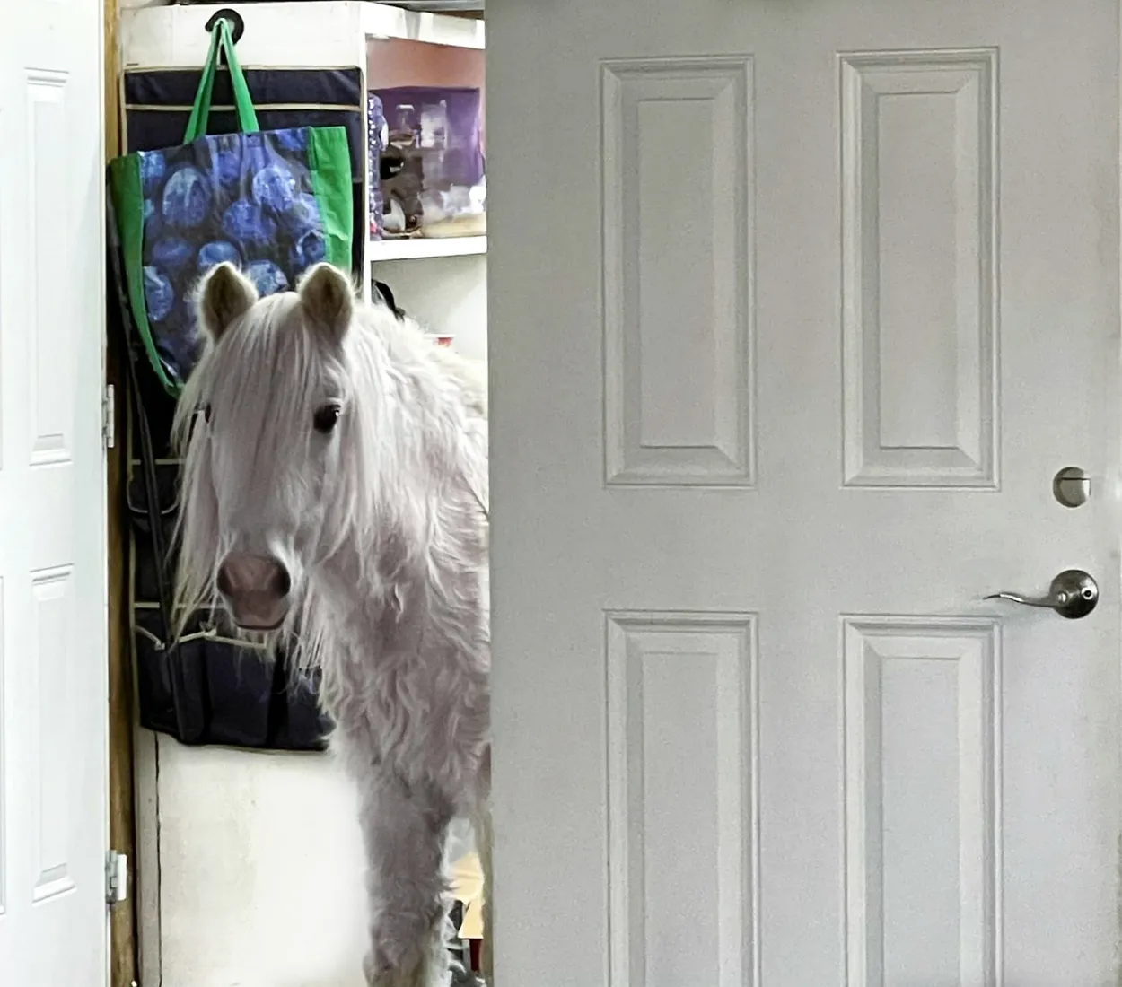 Entry 24254610