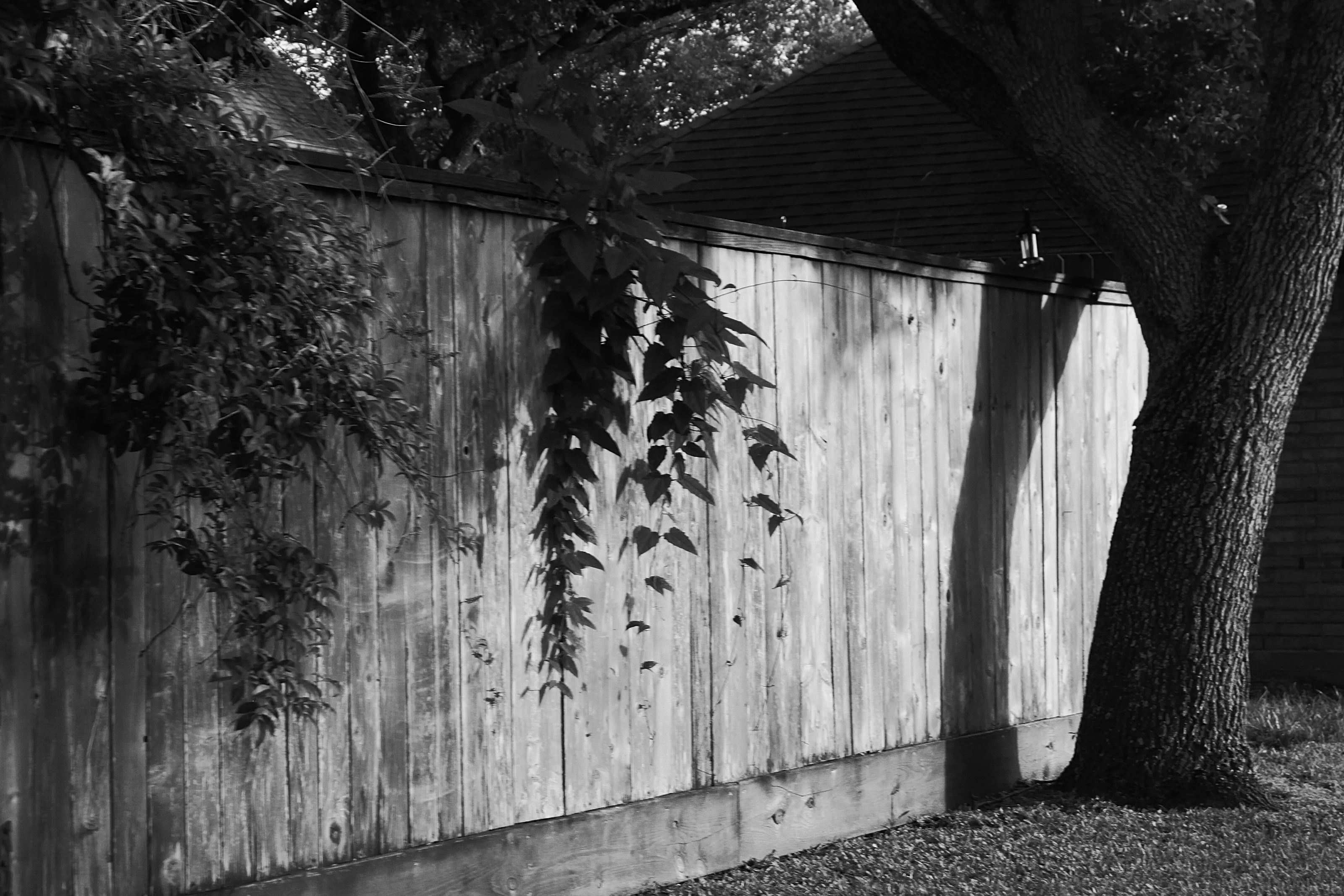 Hidden Garden