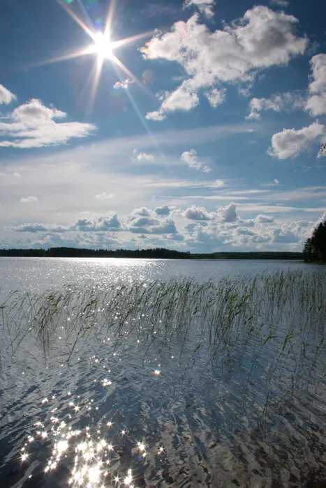 Early morning in Northern Sweden