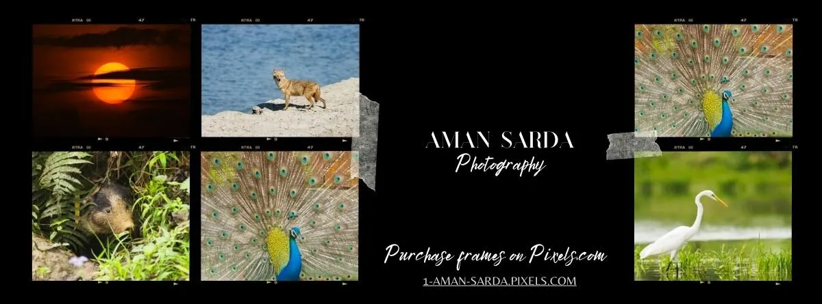 Aman Sarda Photography