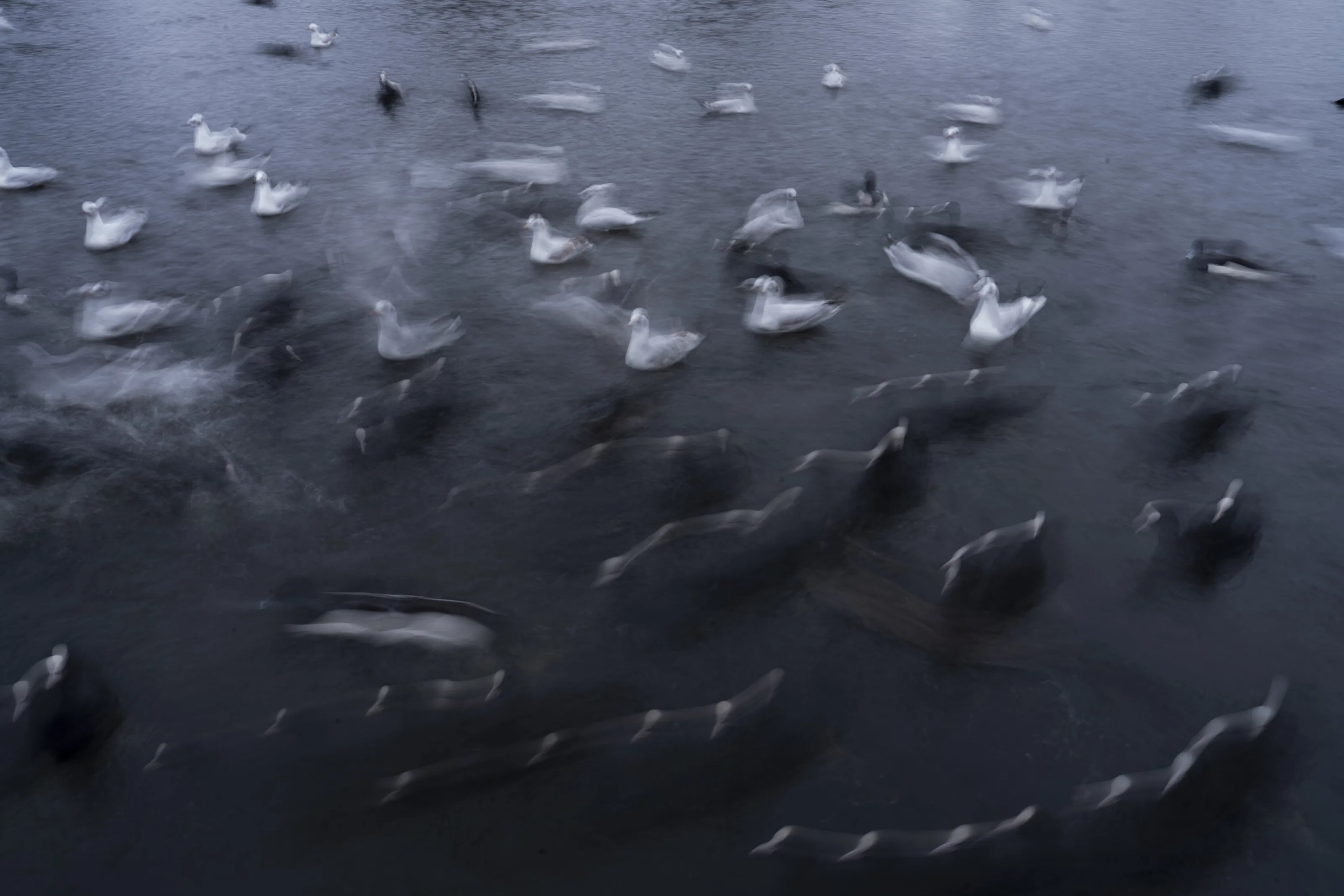 Banner image