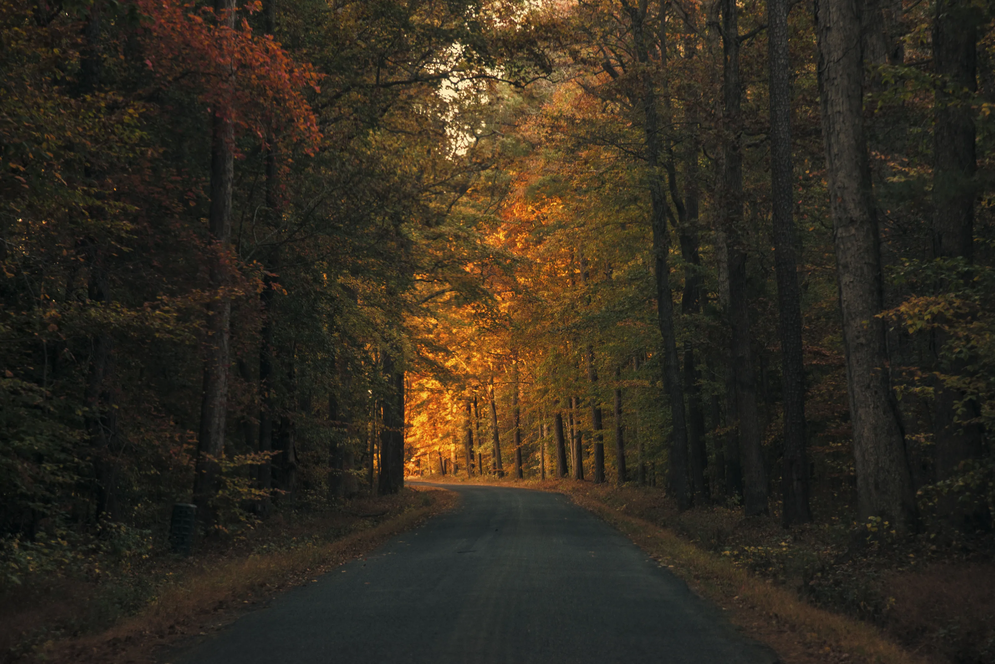 Traveling Miles Scattered In Gold