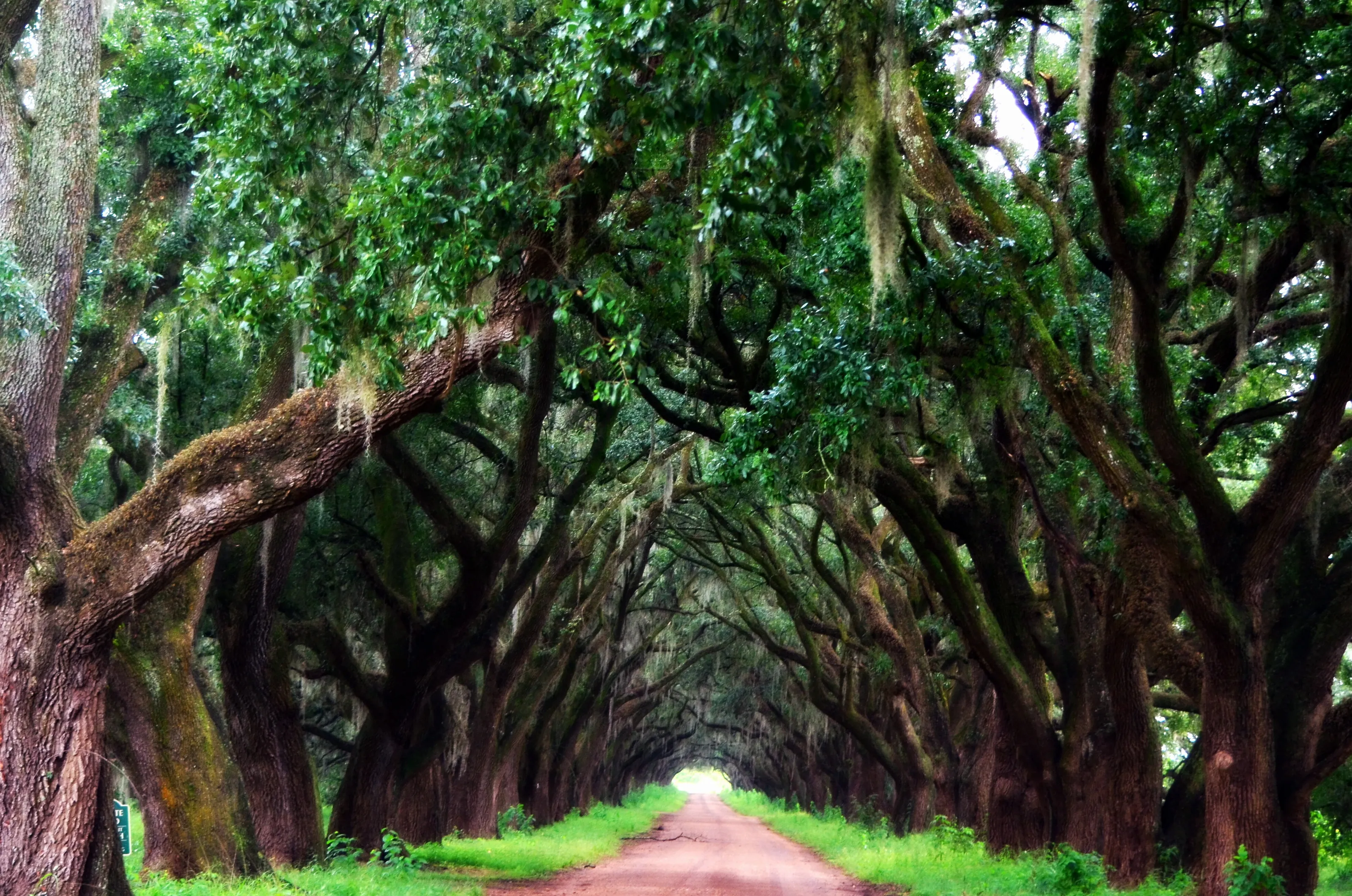 louisiana