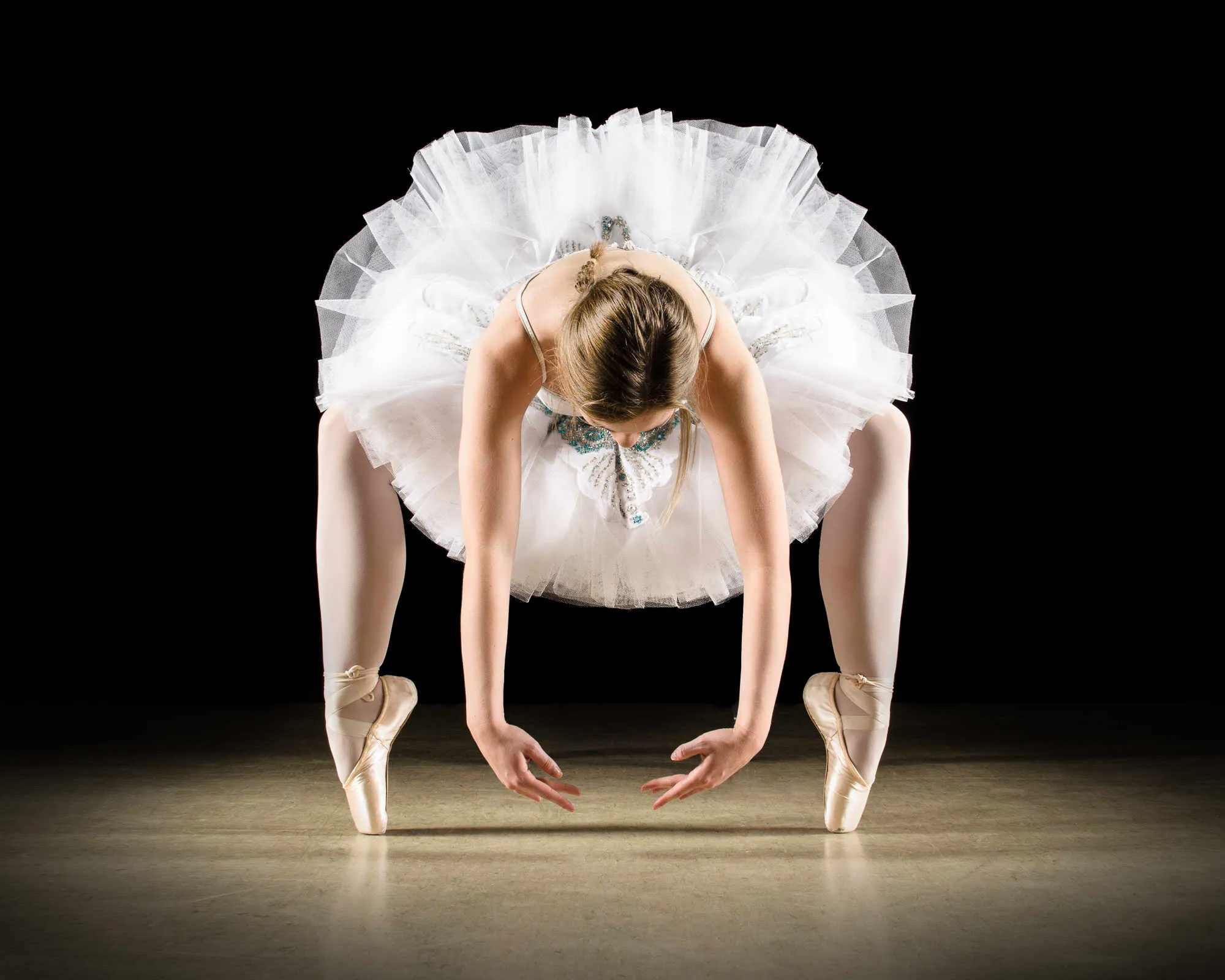 The Swan Finding its Wings