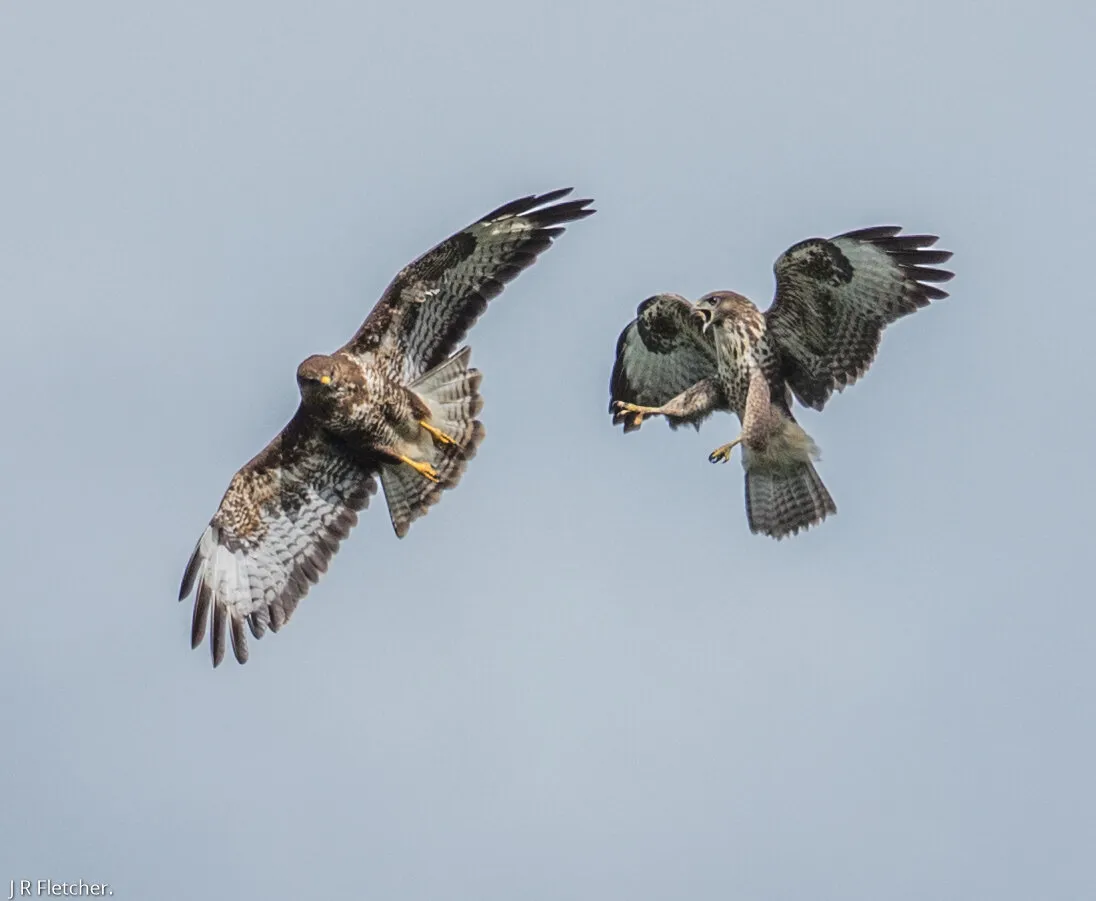 Territorial Dispute in the Air.