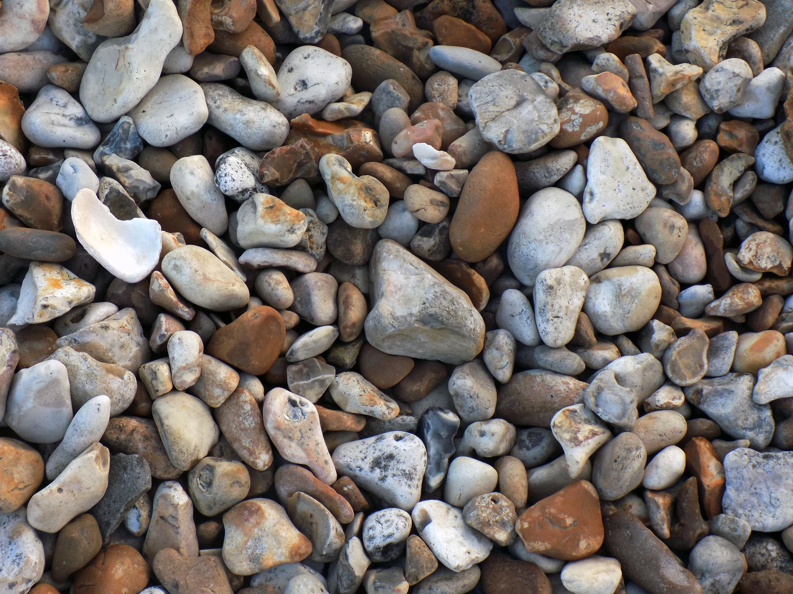 Rocks.