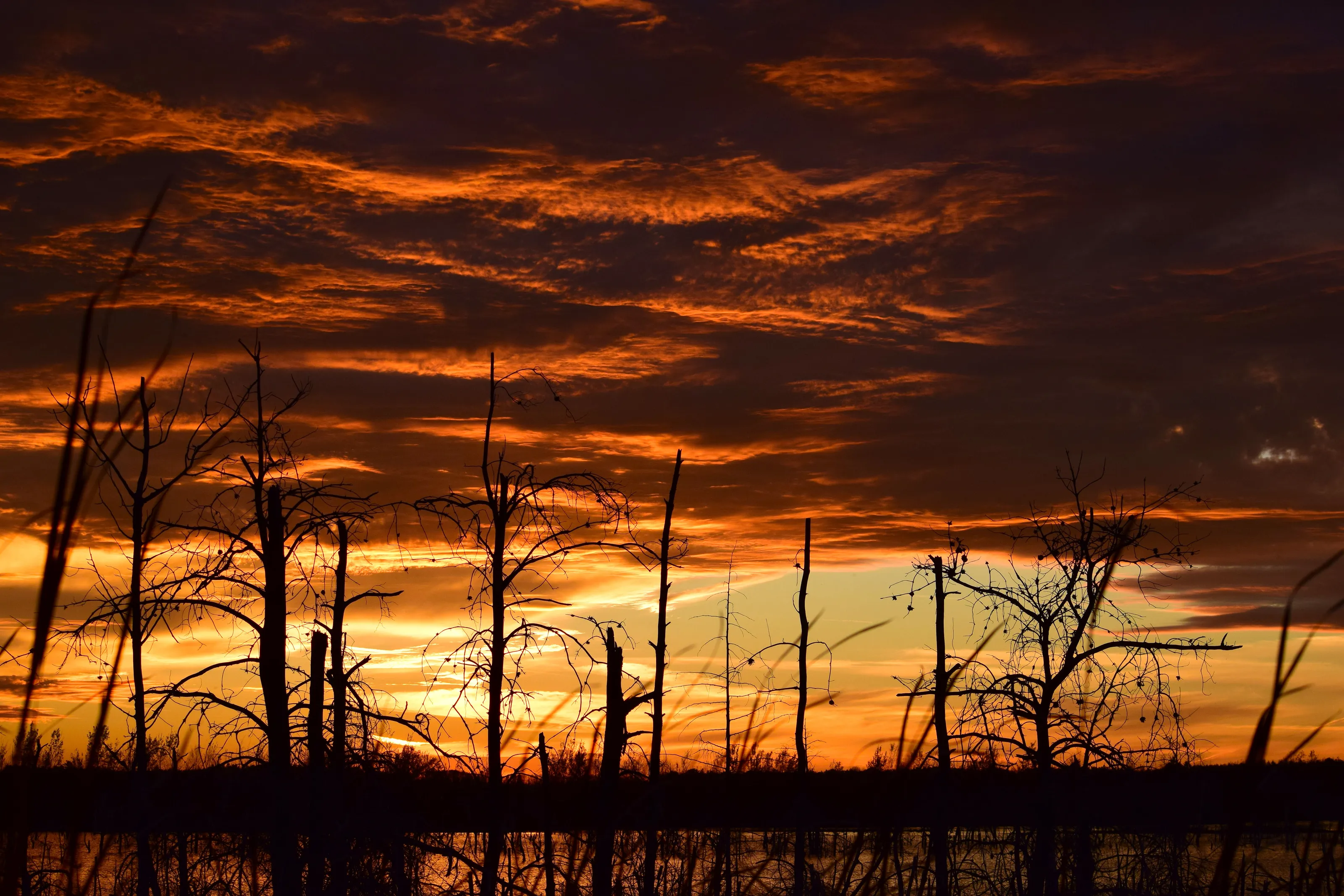 FIre in the sky