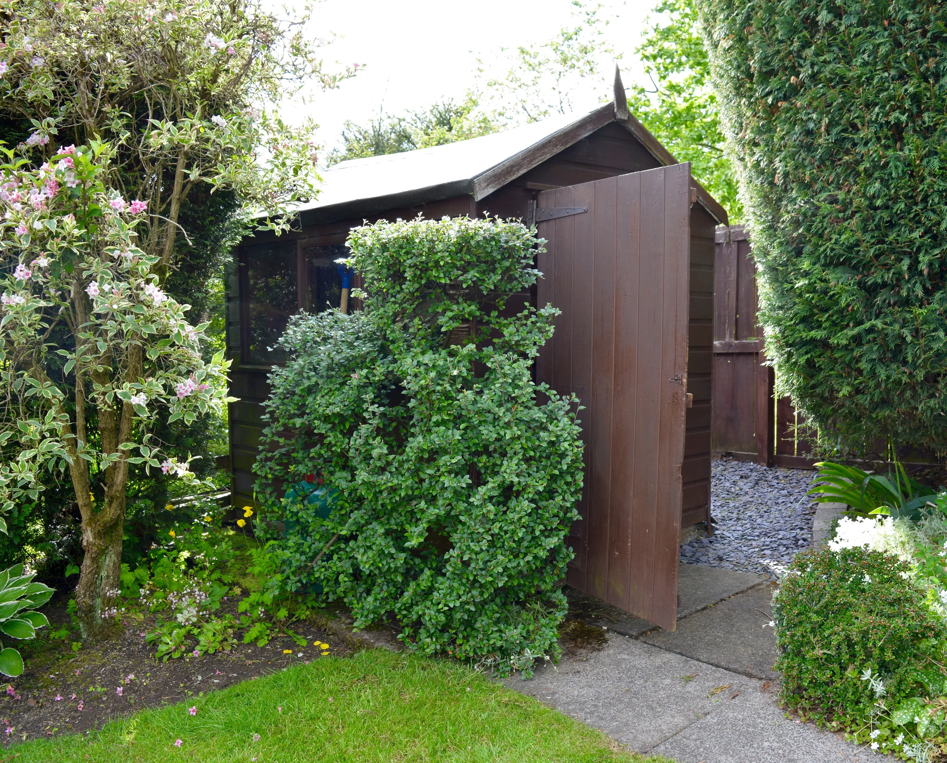 My shed
