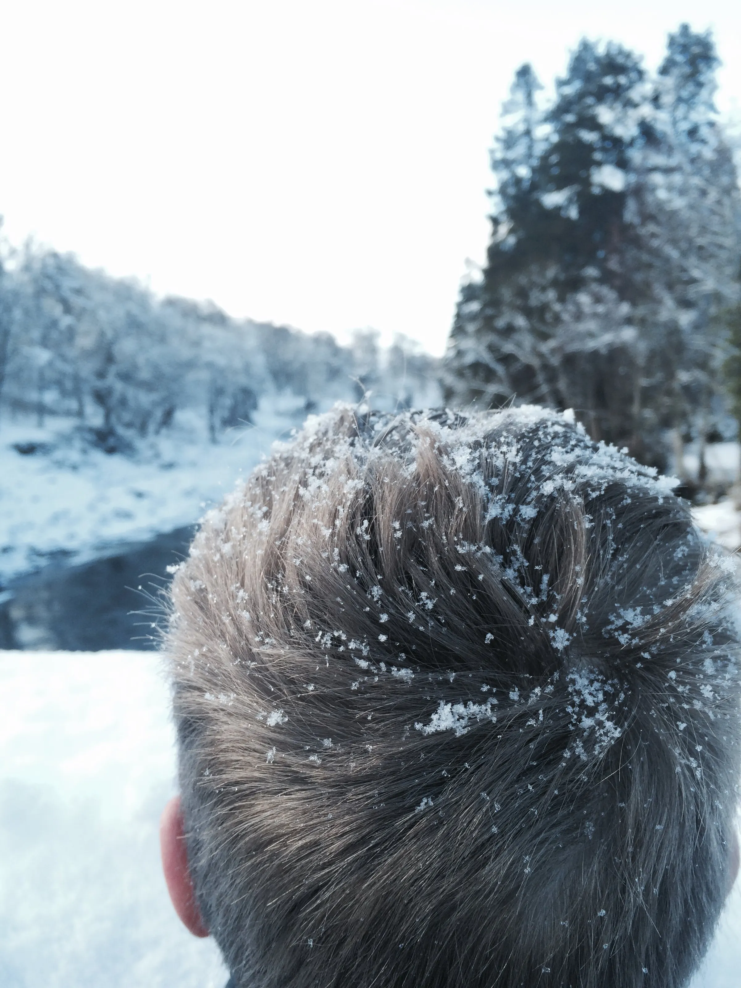 Warmth of the Snow
