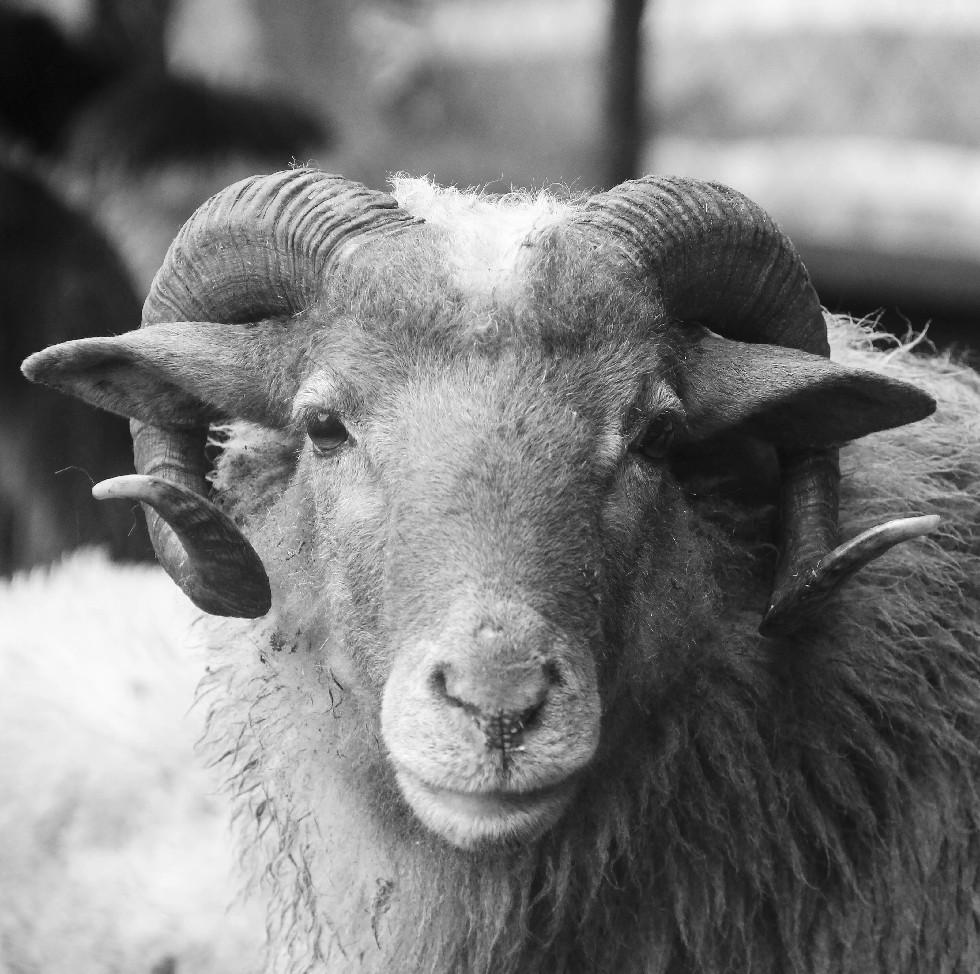 Symmetry