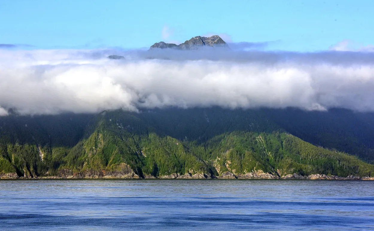 Entry 1234171