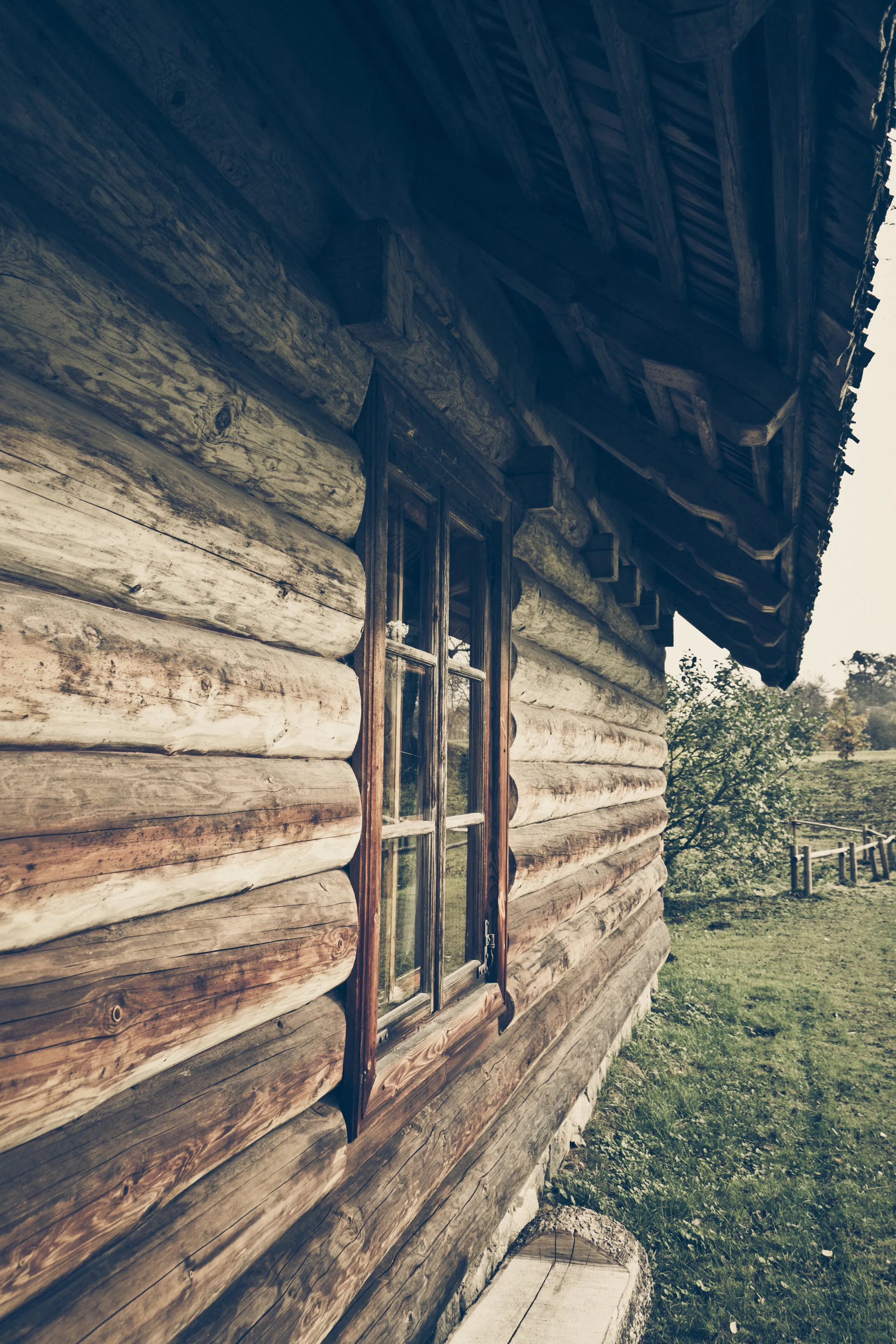 Shed