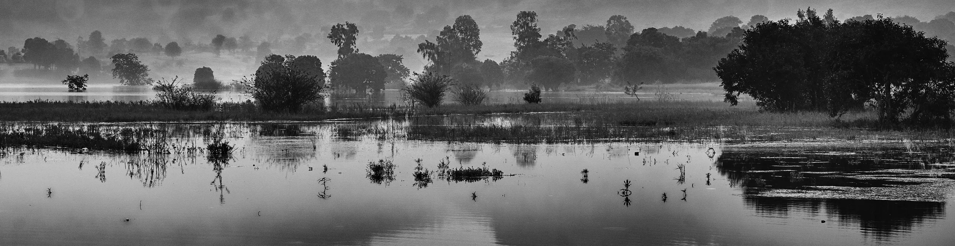 Reflections in monochrome