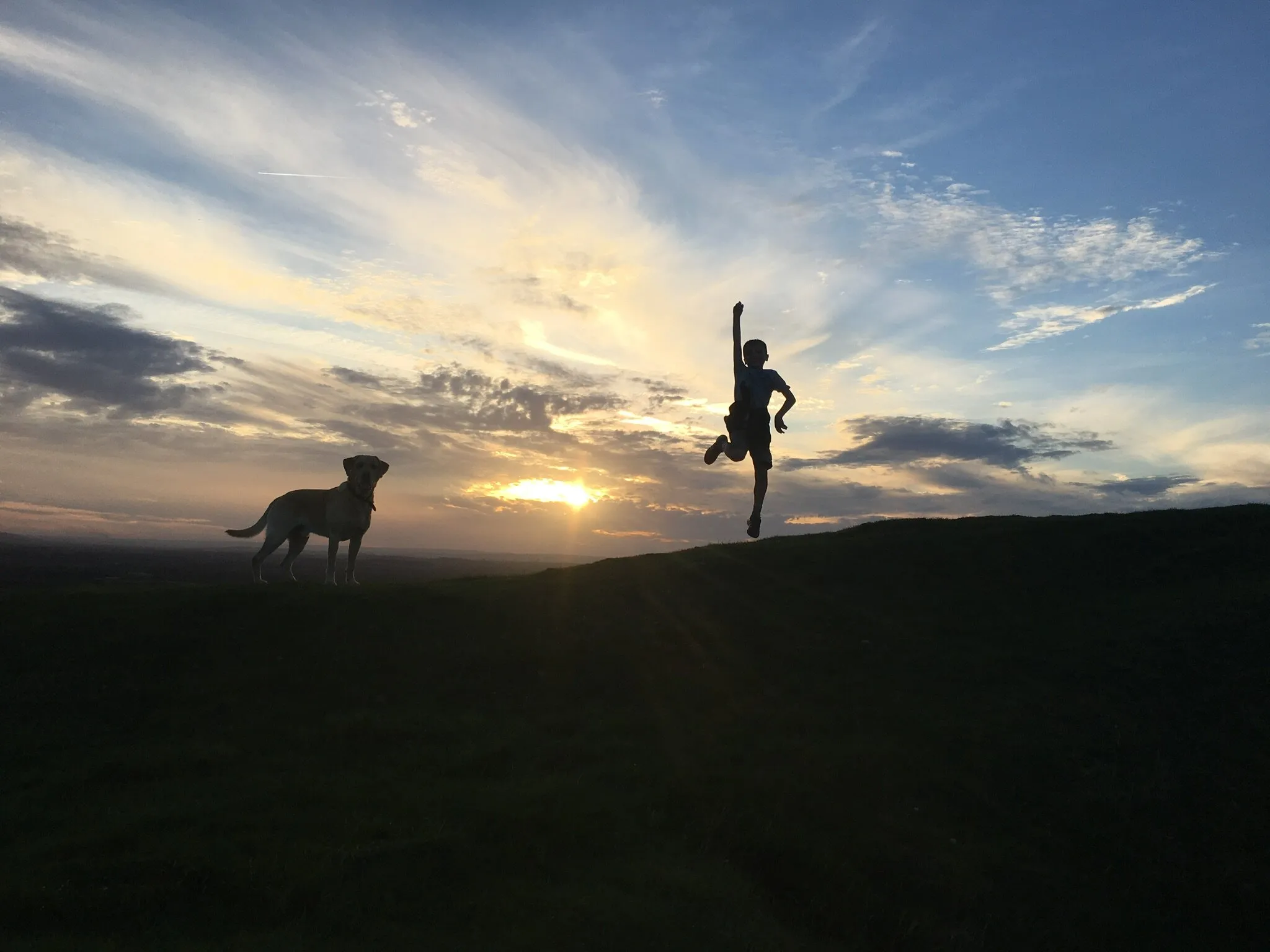 Jumping in the sun