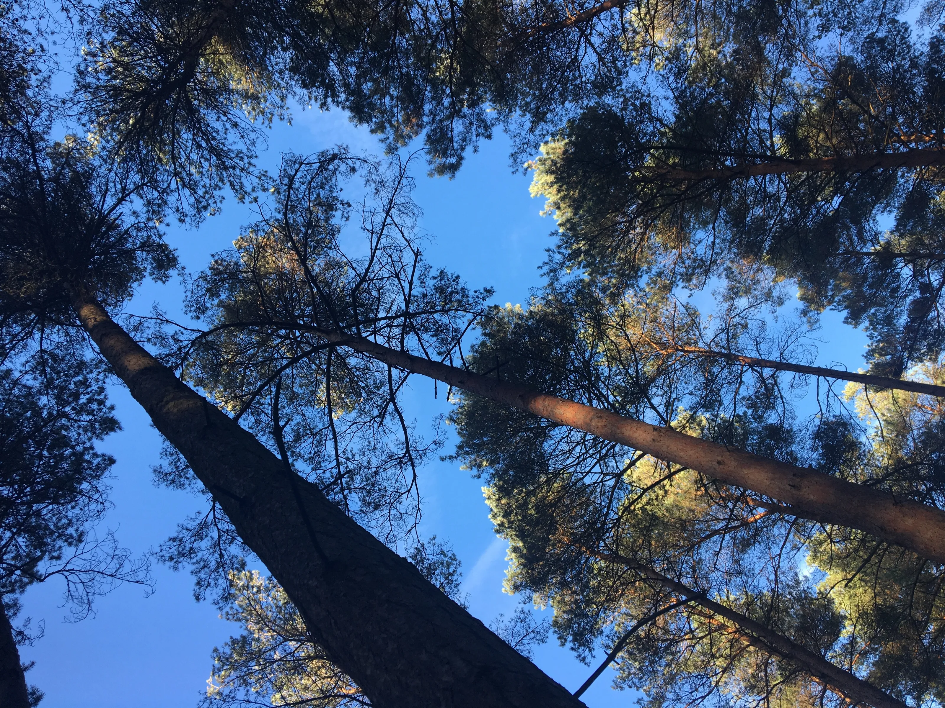 The sky's the limit...