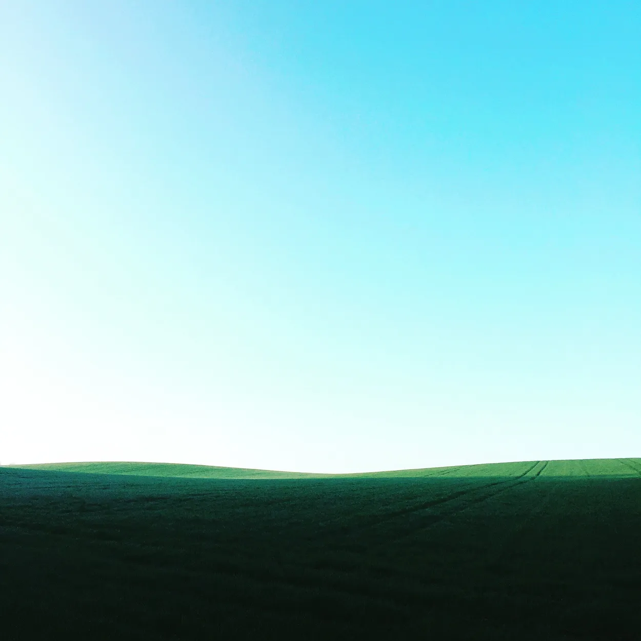 Entry 1237061