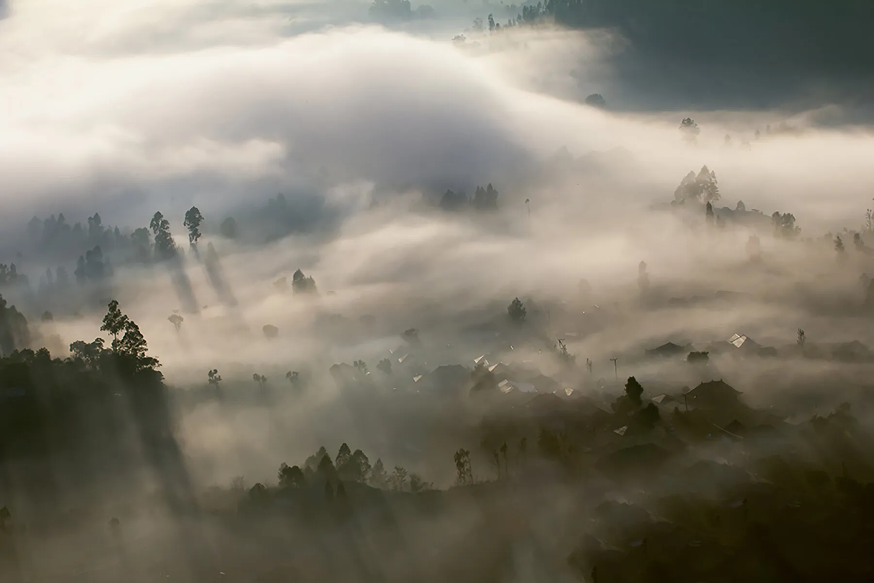 Morning Fog