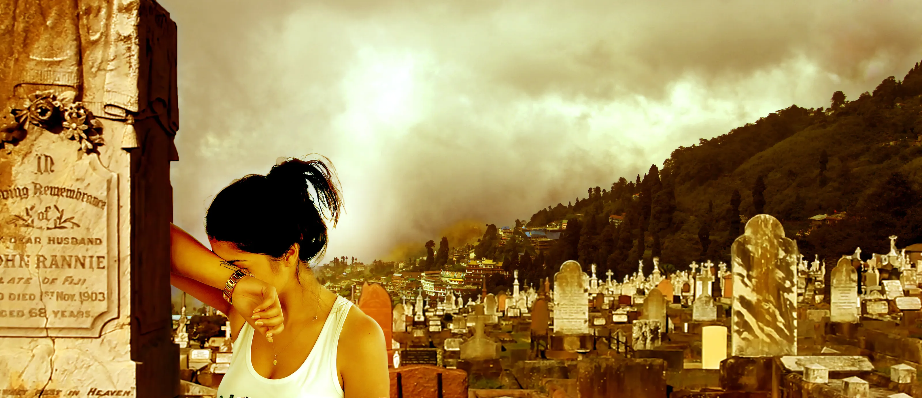 Banner image