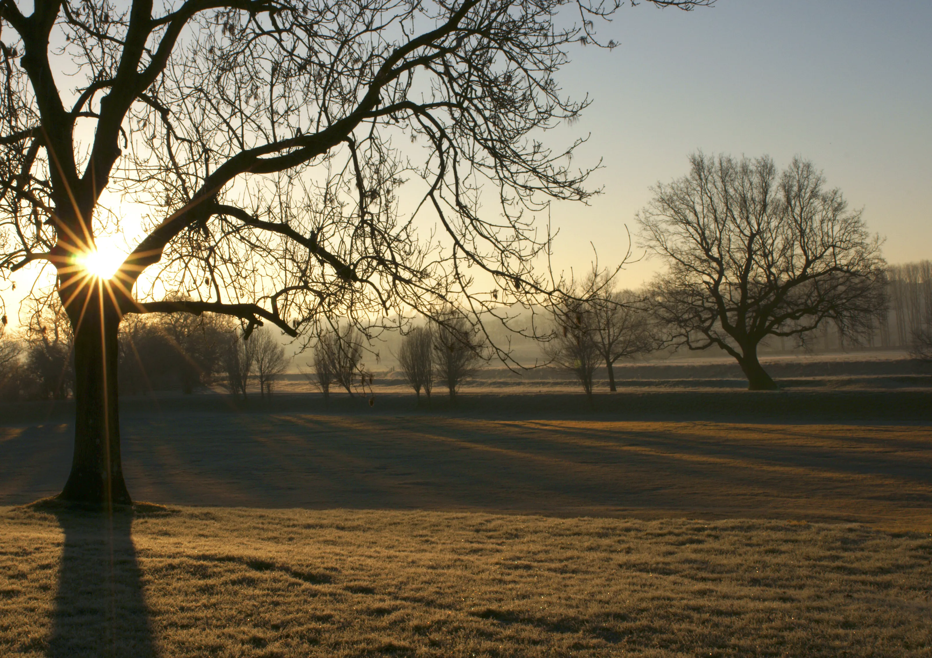 Winter sunrise