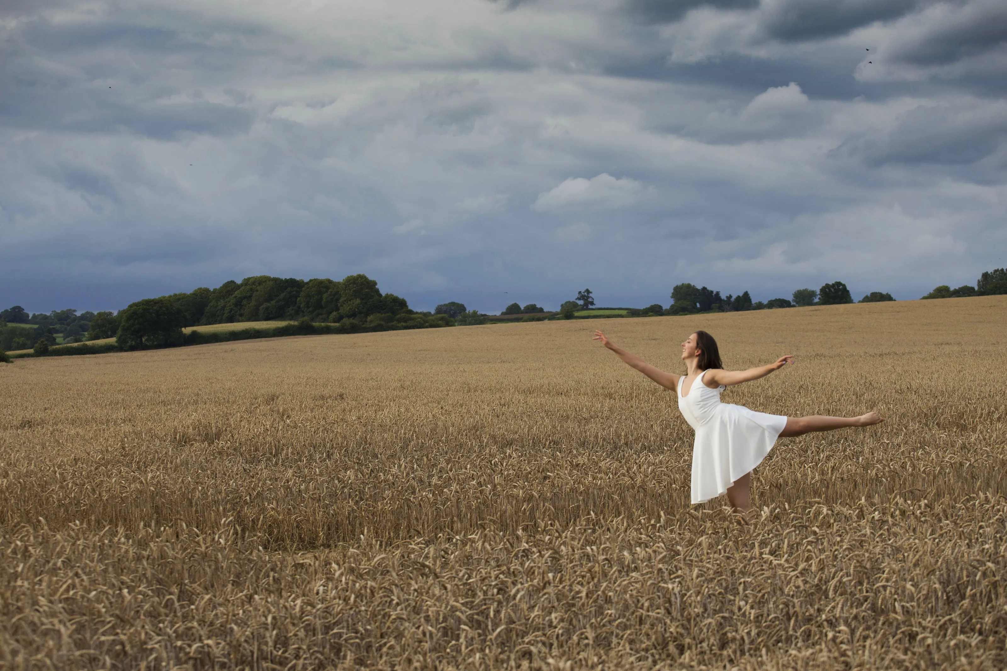 The Rhythm of Life