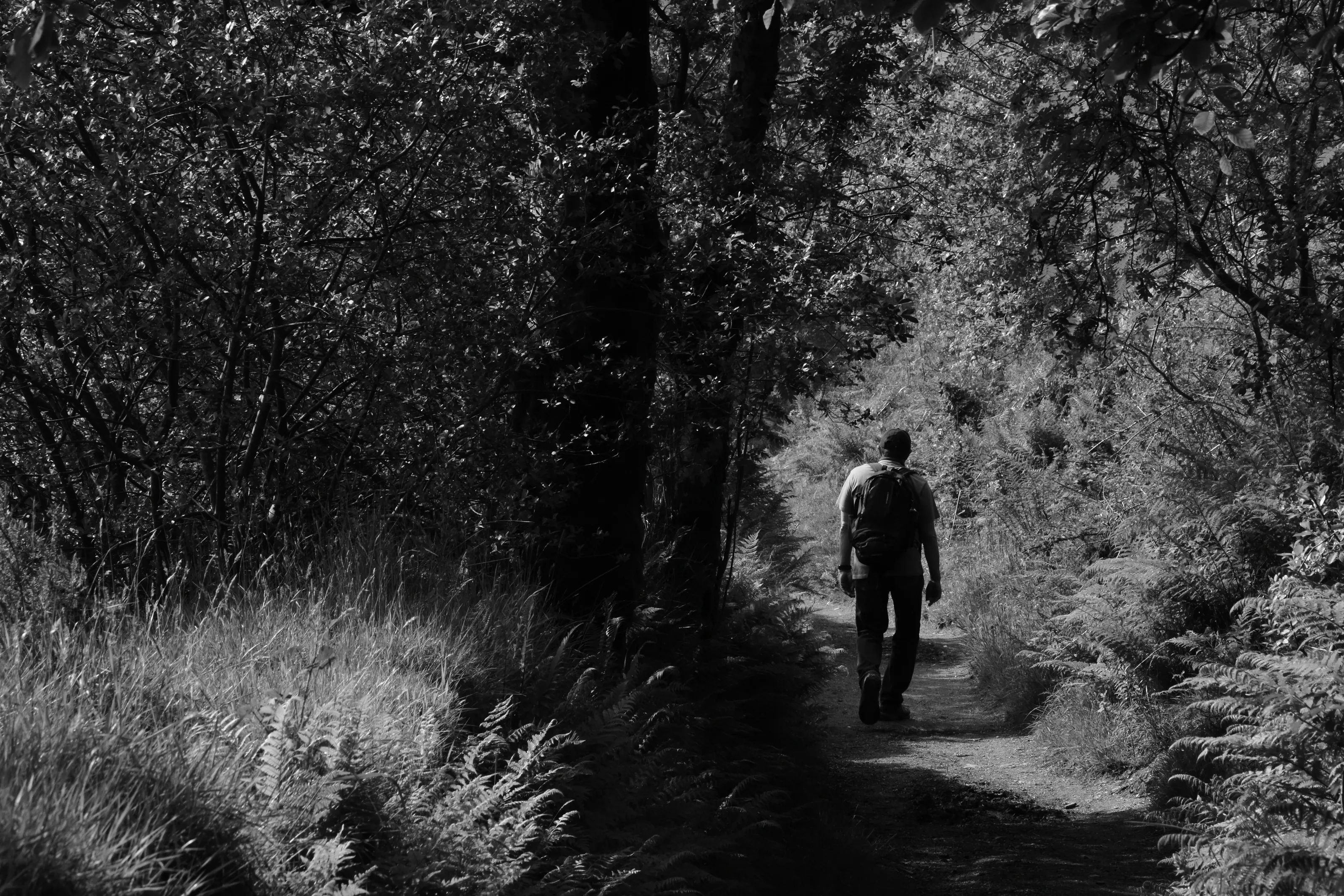 ALONE