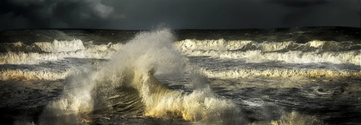 Entry 1246277