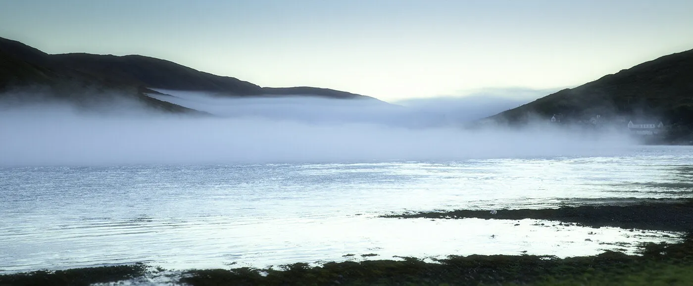 Misty morning