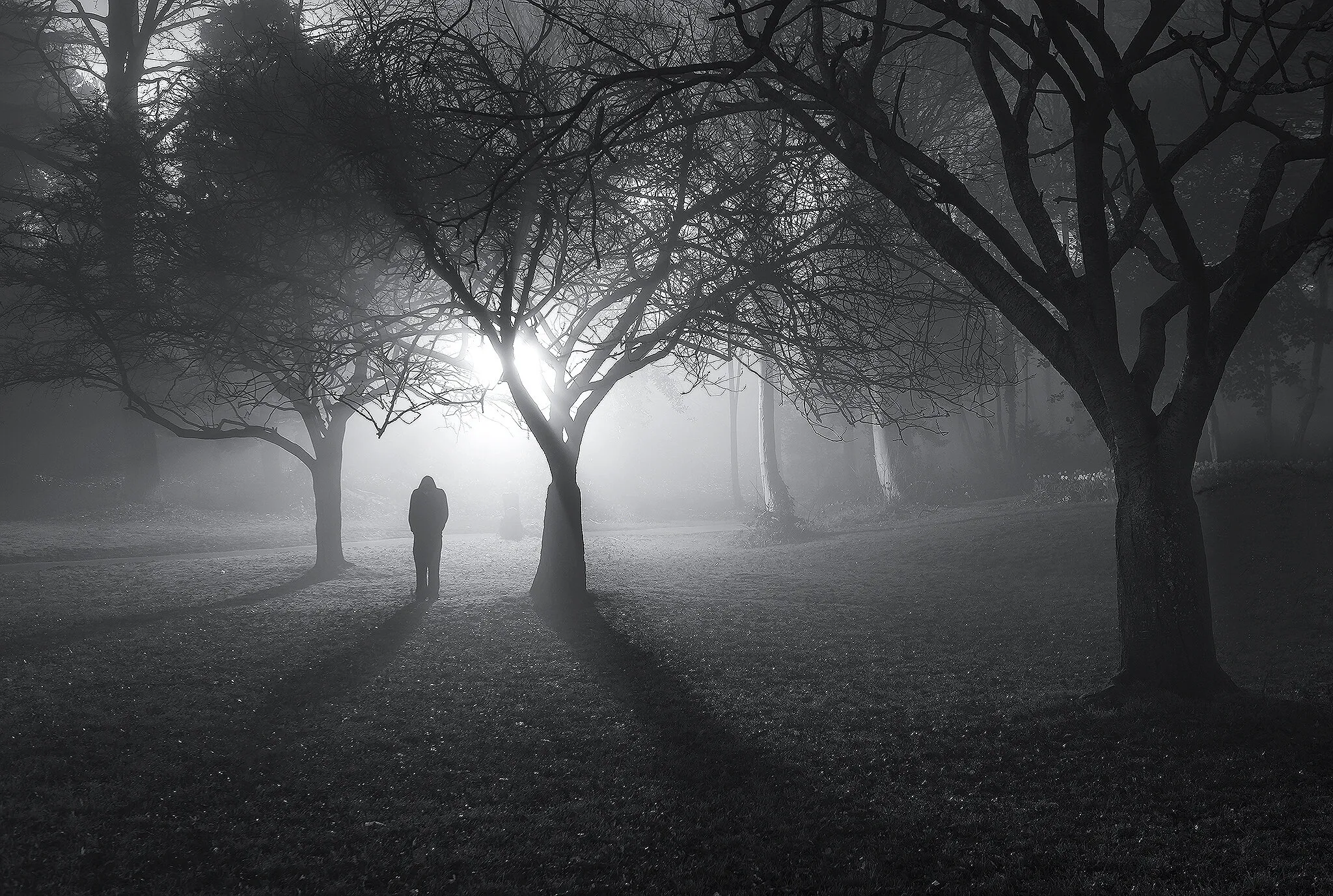 In a Land of Mist