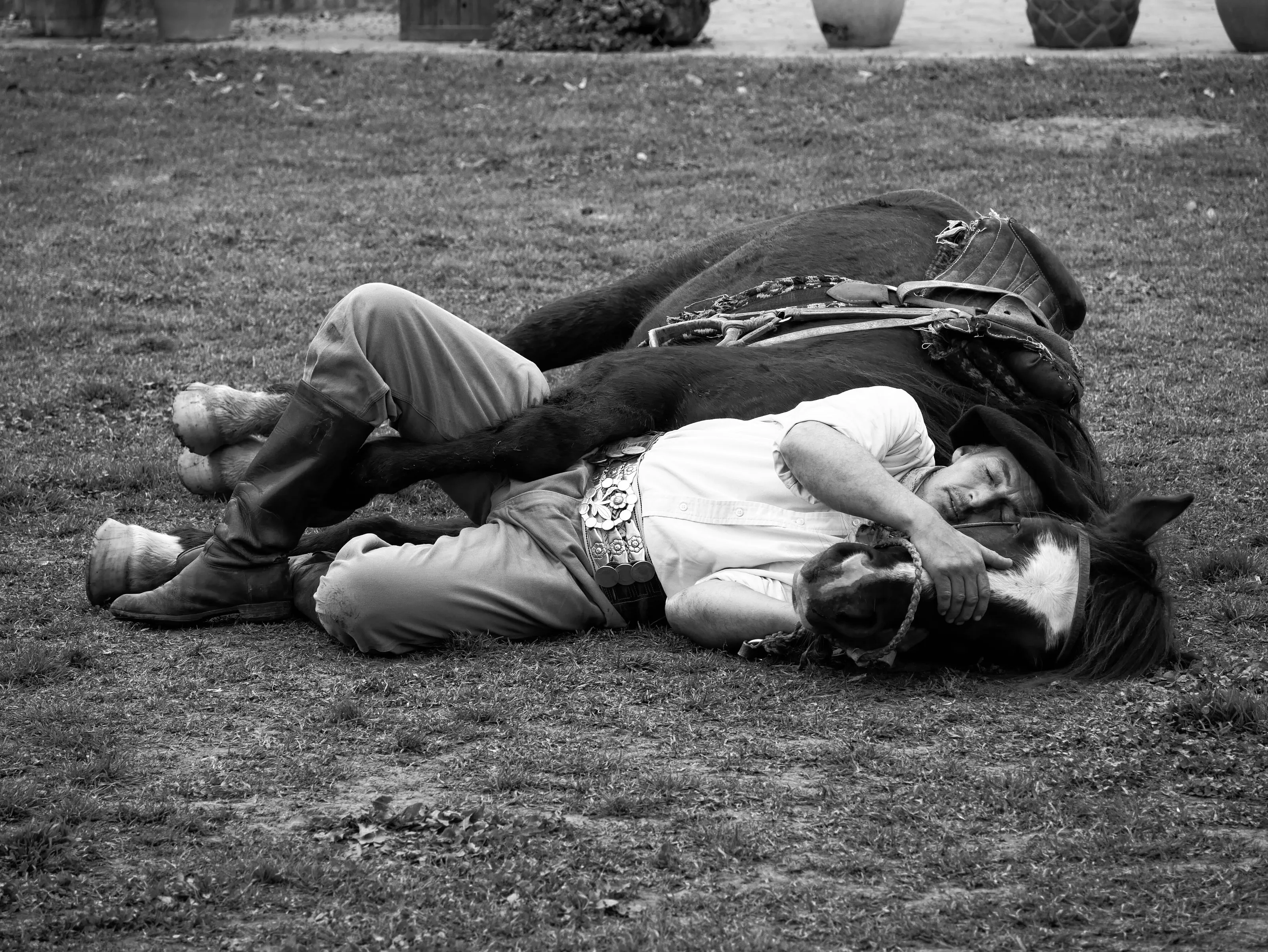 Gaucho lying with horse