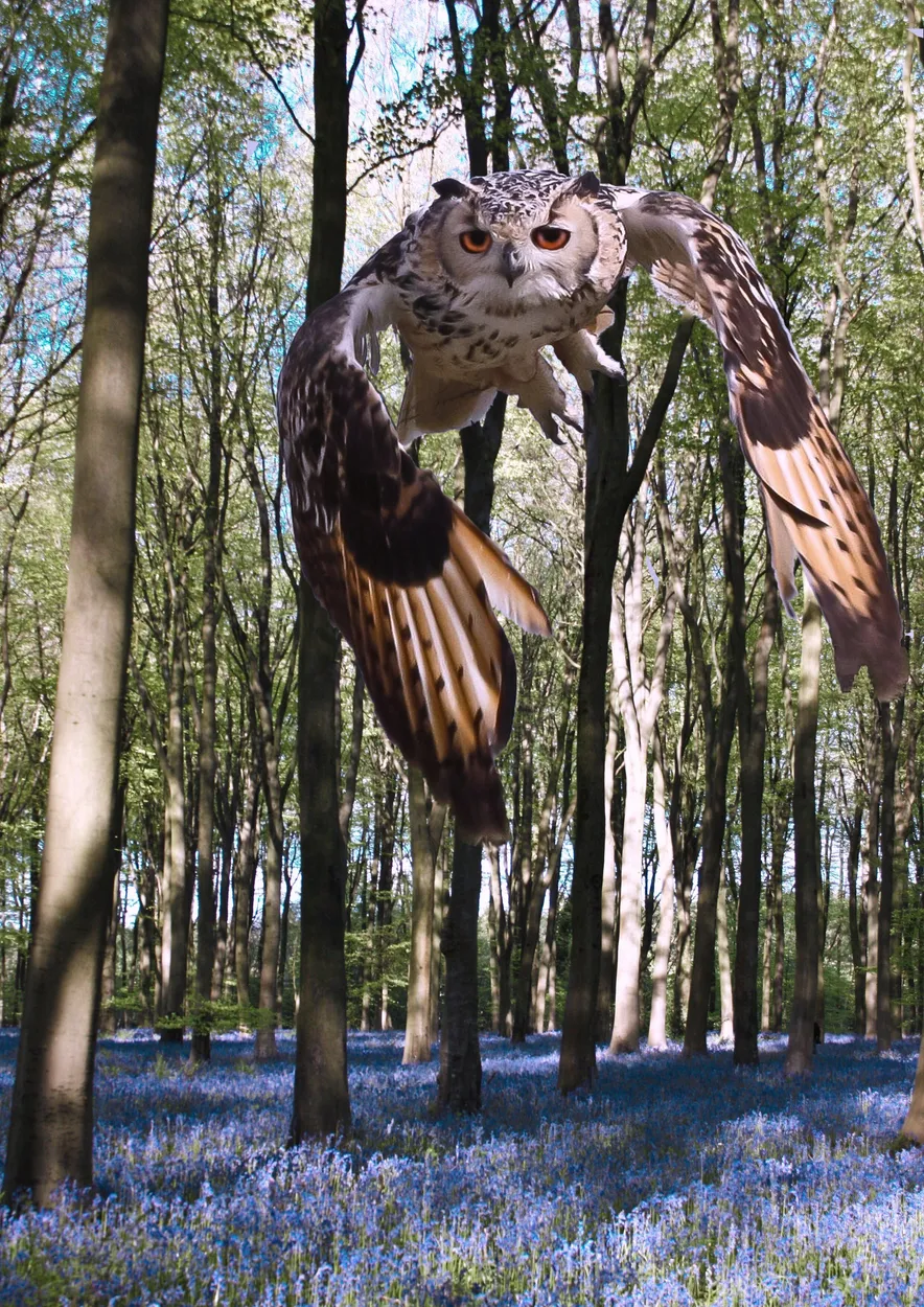 Entry 99797