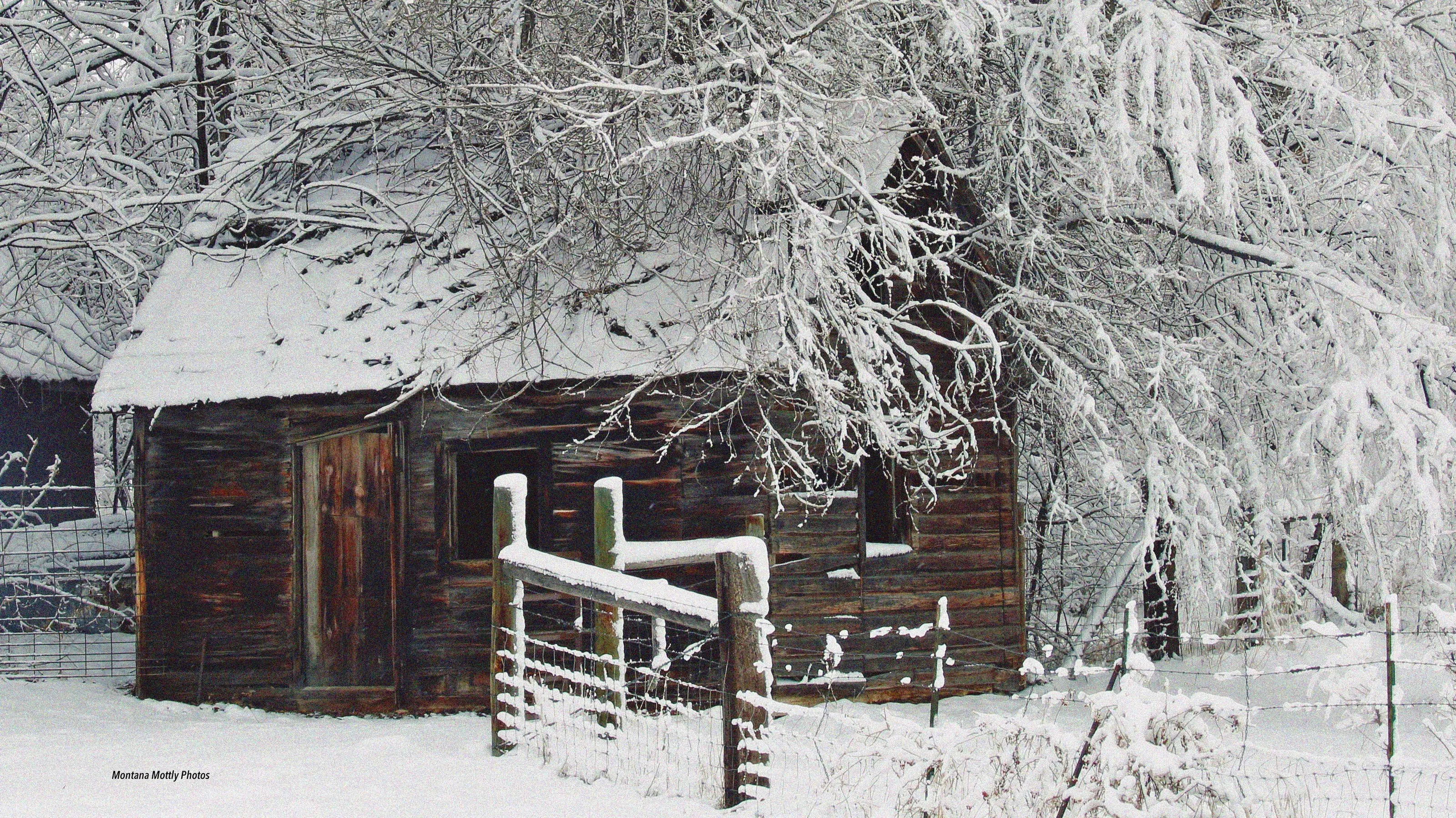 Frosty Afternoon