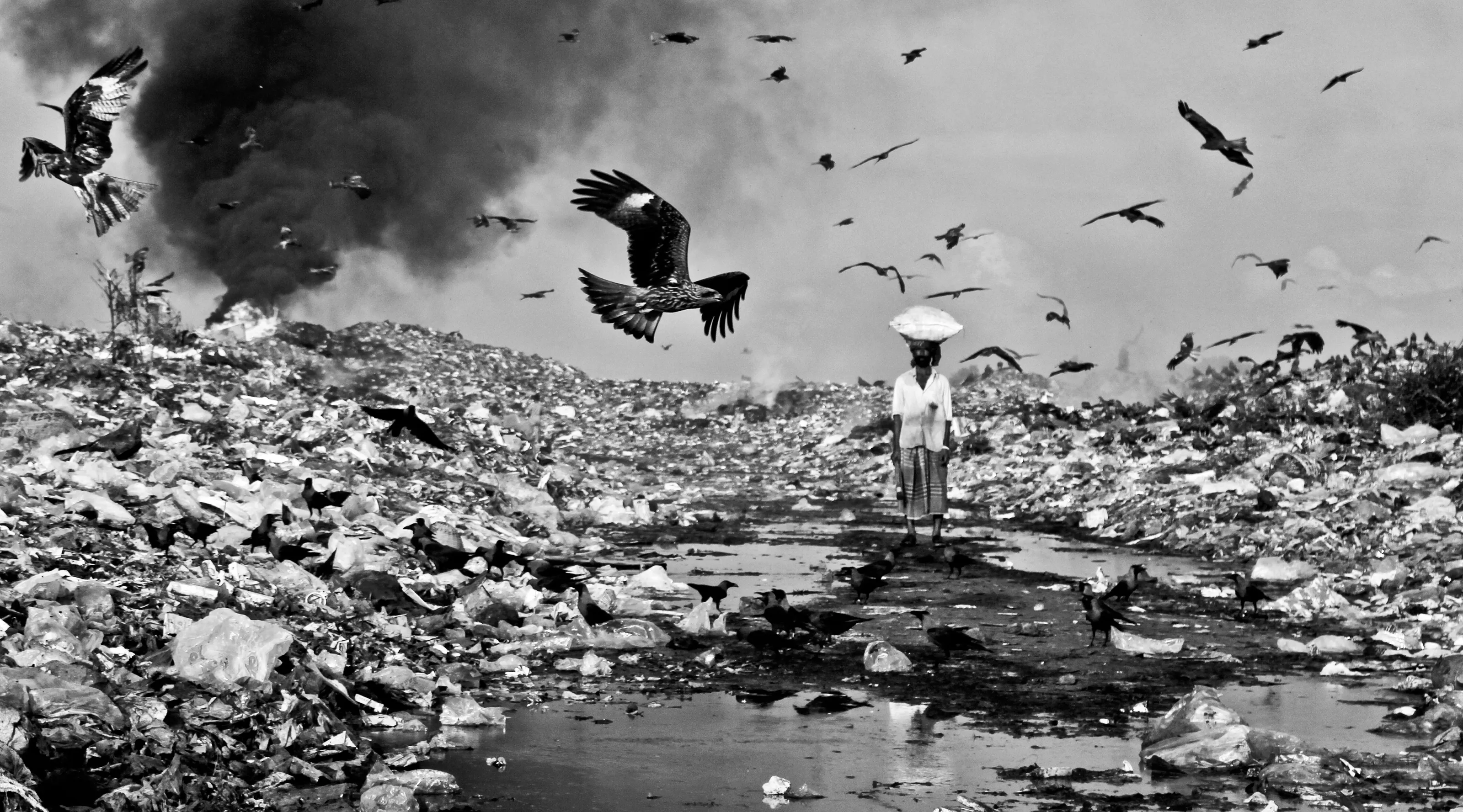 Increasing environmental pollution
