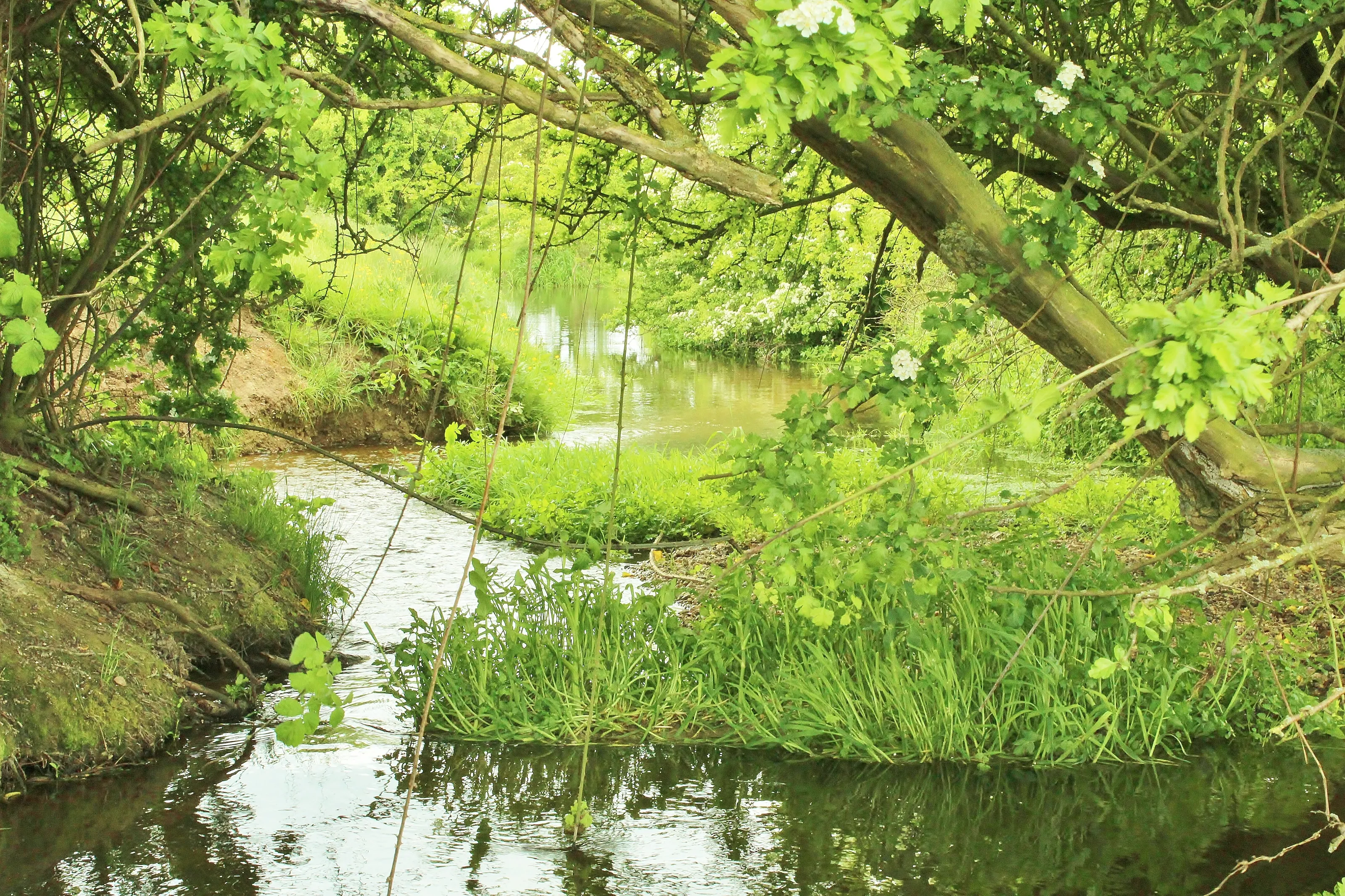 silent stream