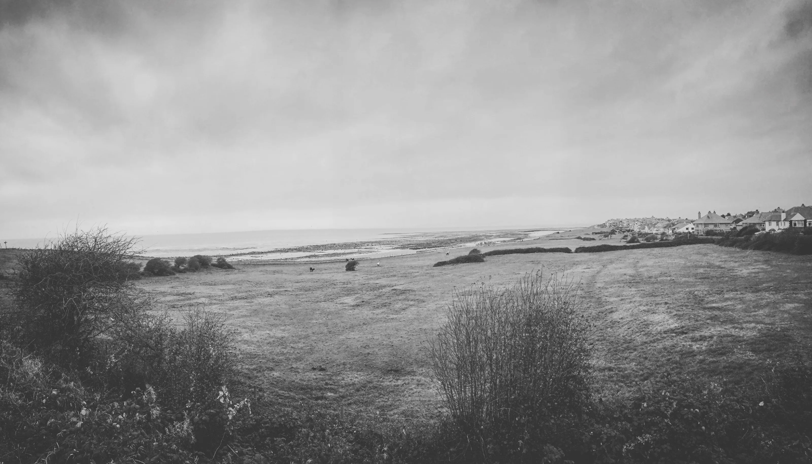 Heysham