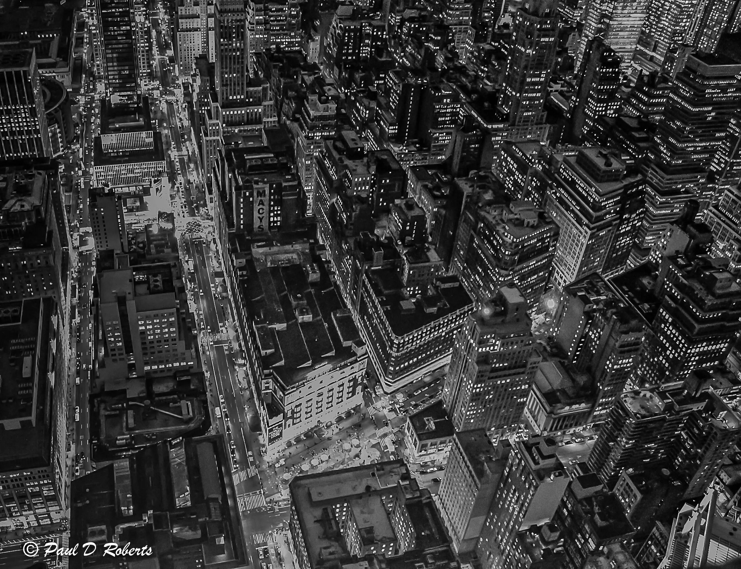 The Bright Lights of New York City