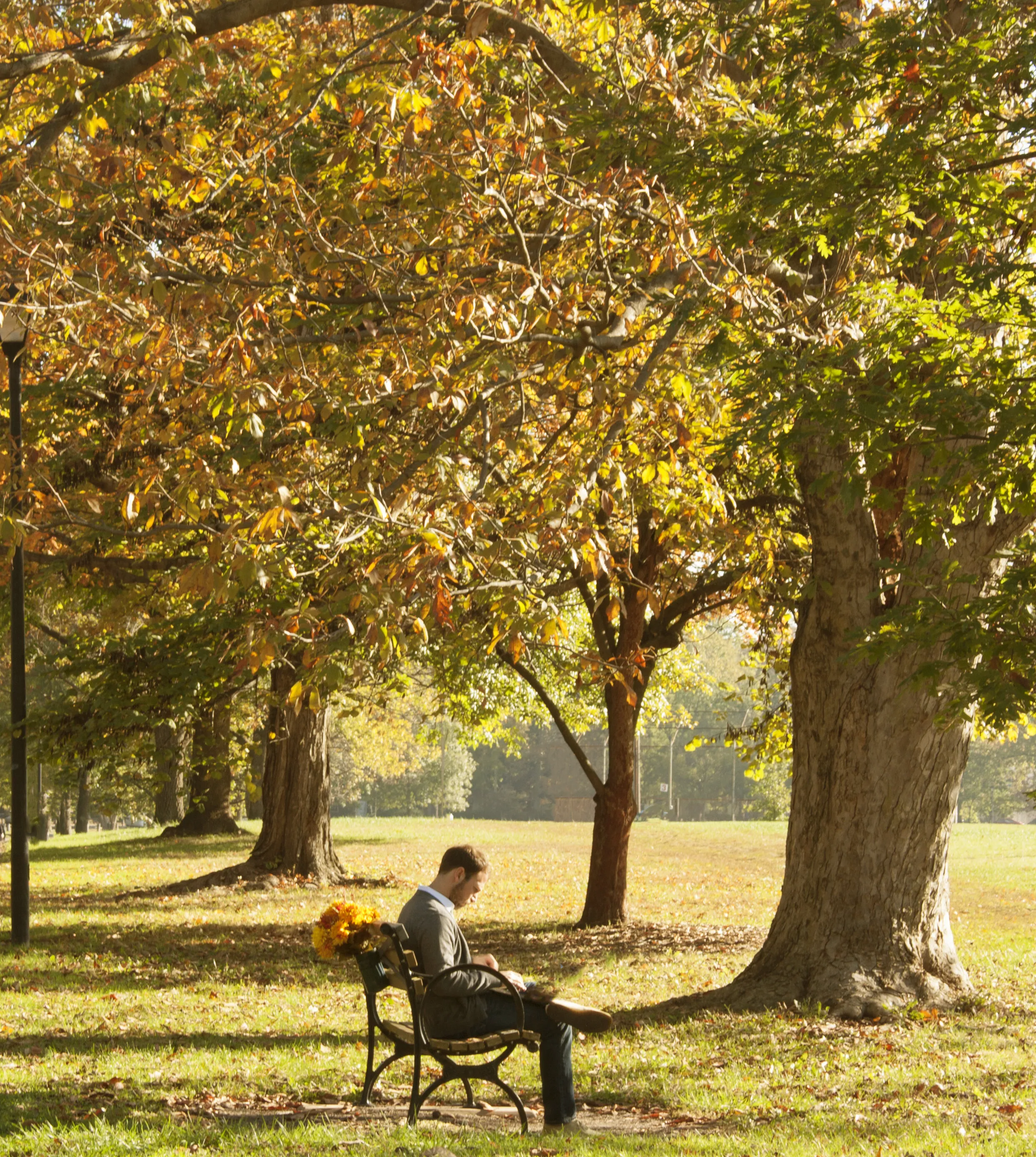 fall at the park